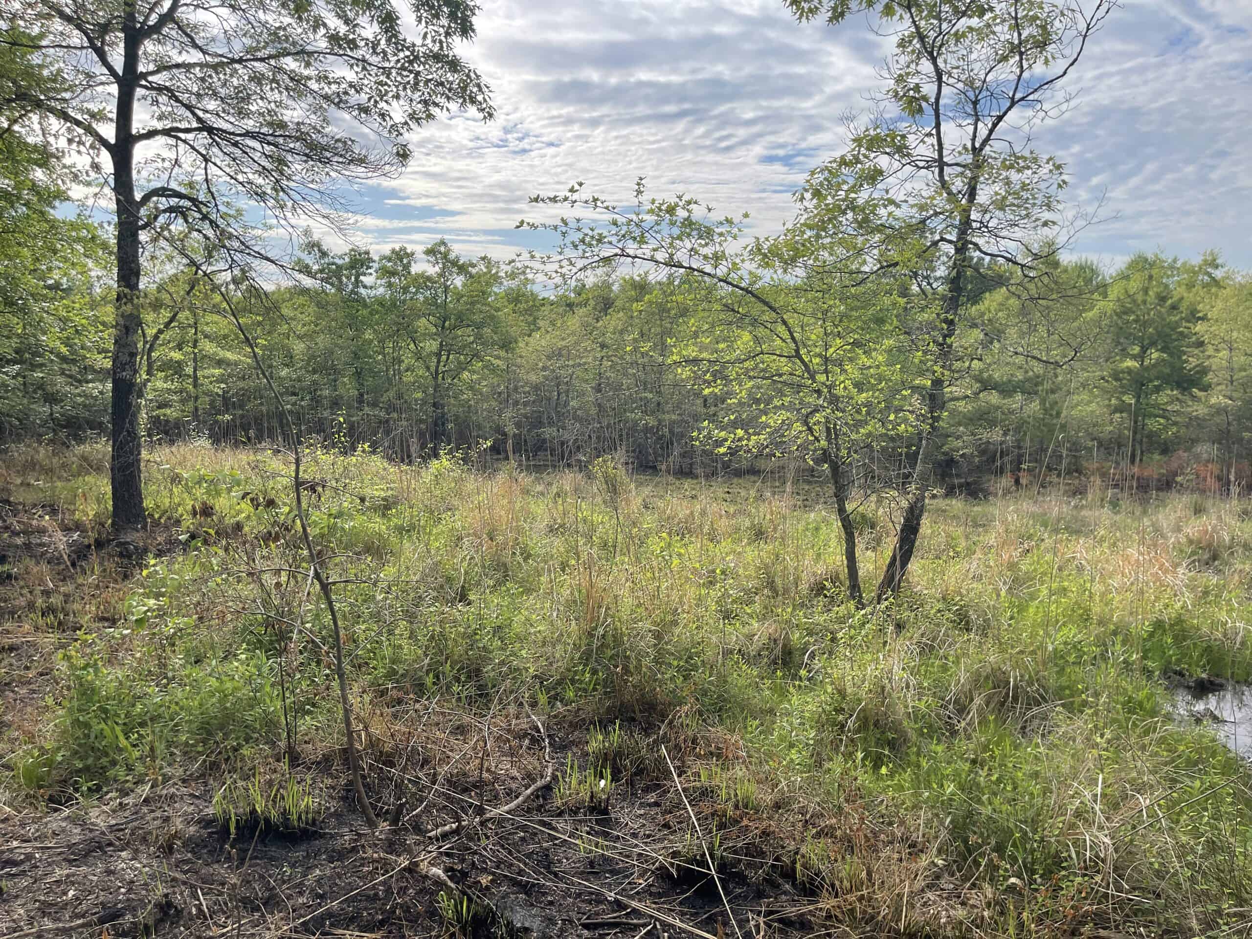 120 Acre Sportsman Paradise Choctaw County OK