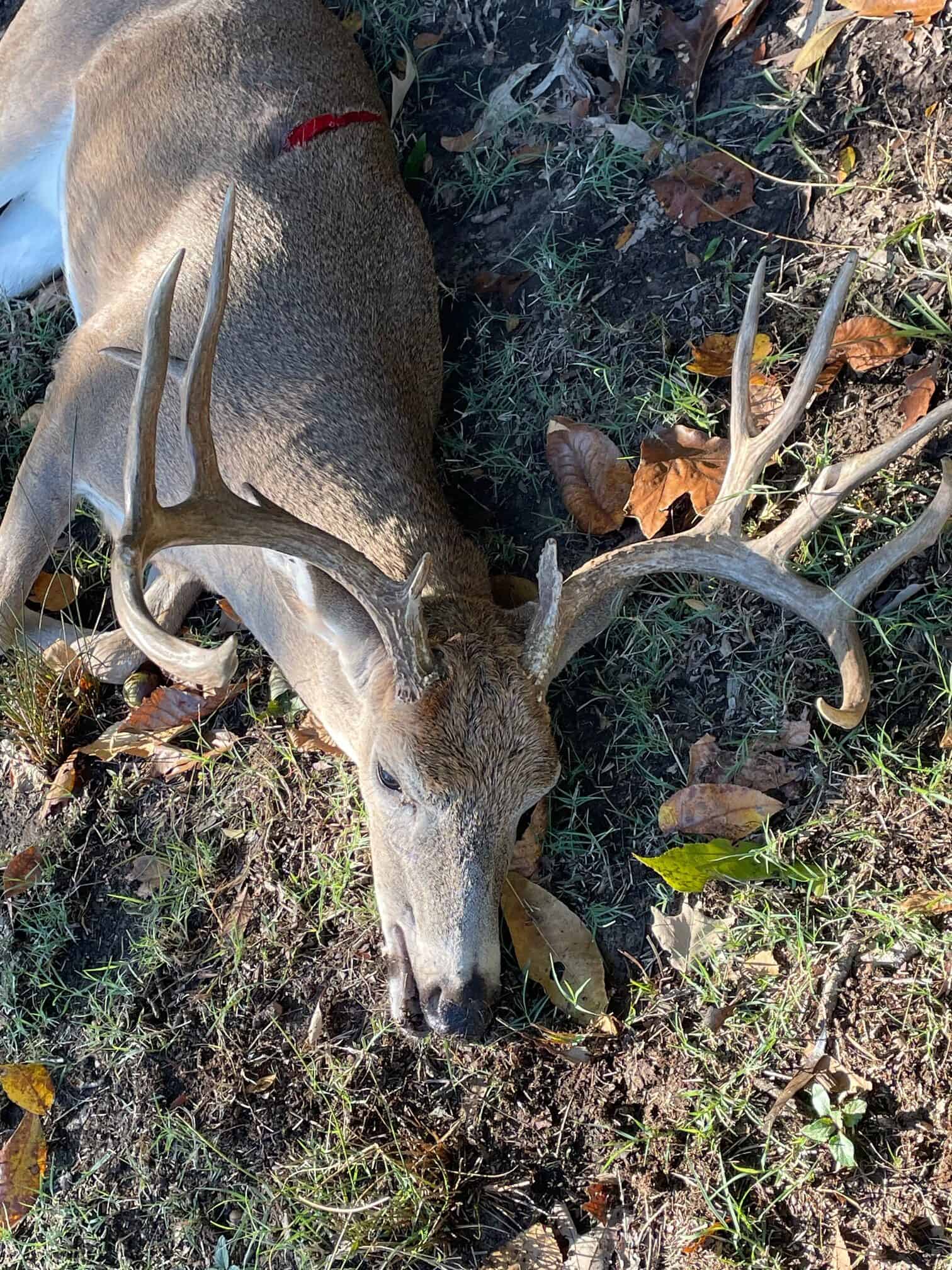 120 Acre Sportsman Paradise Choctaw County OK