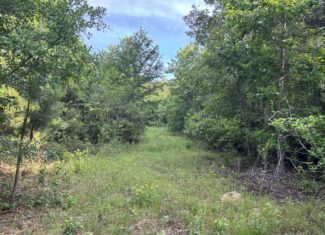 Hunting Land for Sale Near Jefferson, TX