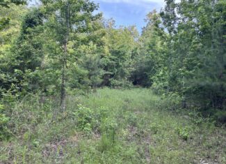 Hunting Land for Sale Near Jefferson, TX