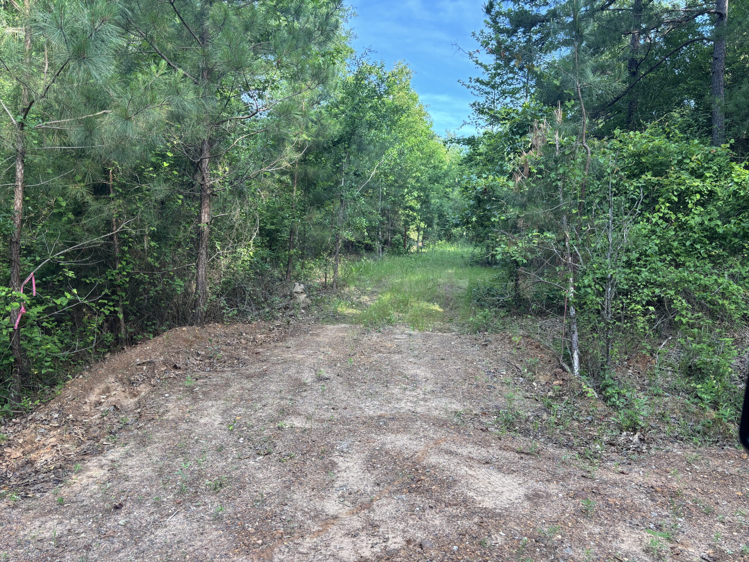 Hunting Land for Sale Near Jefferson, TX