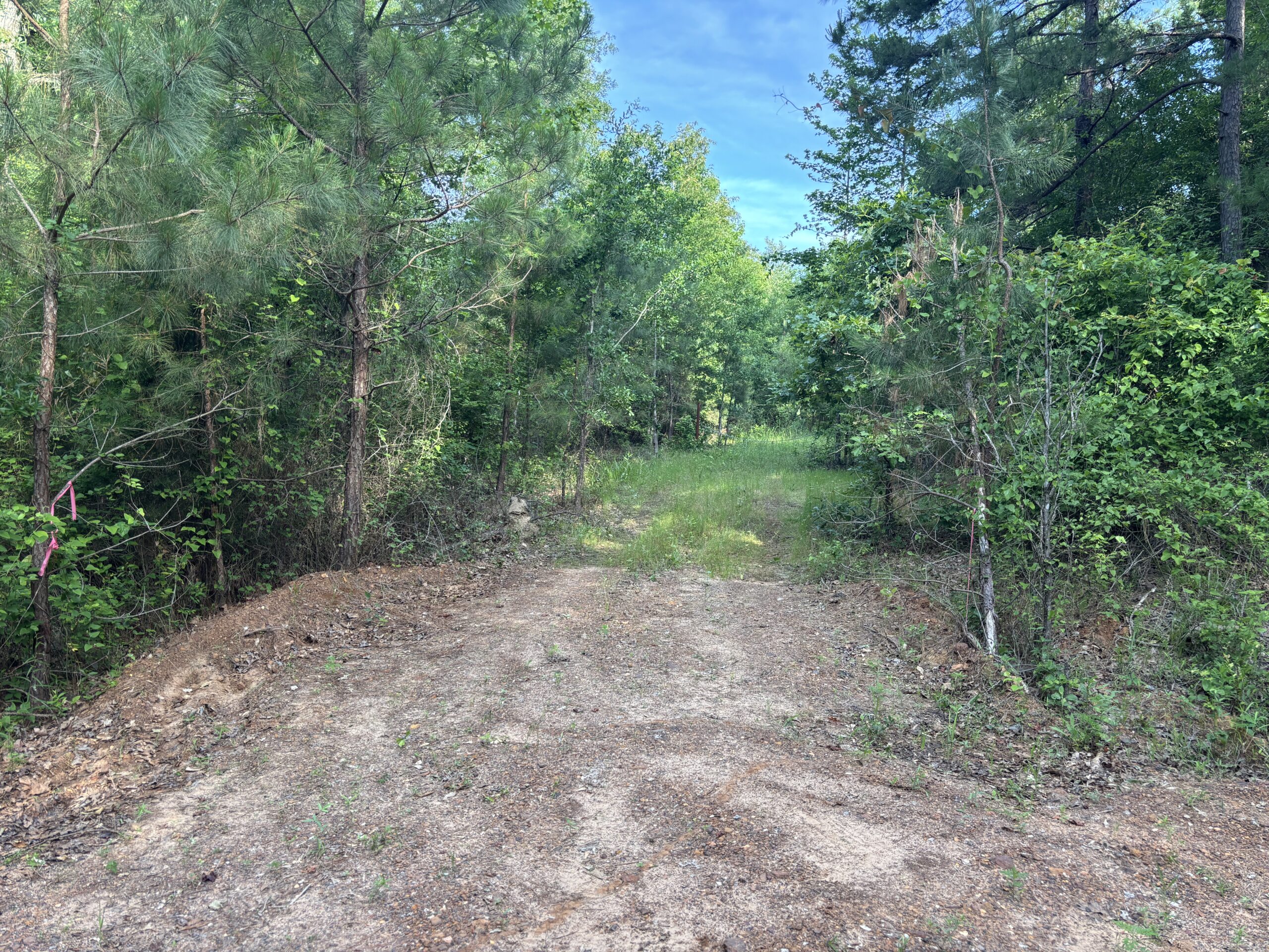 Hunting Land for Sale Near Jefferson, TX
