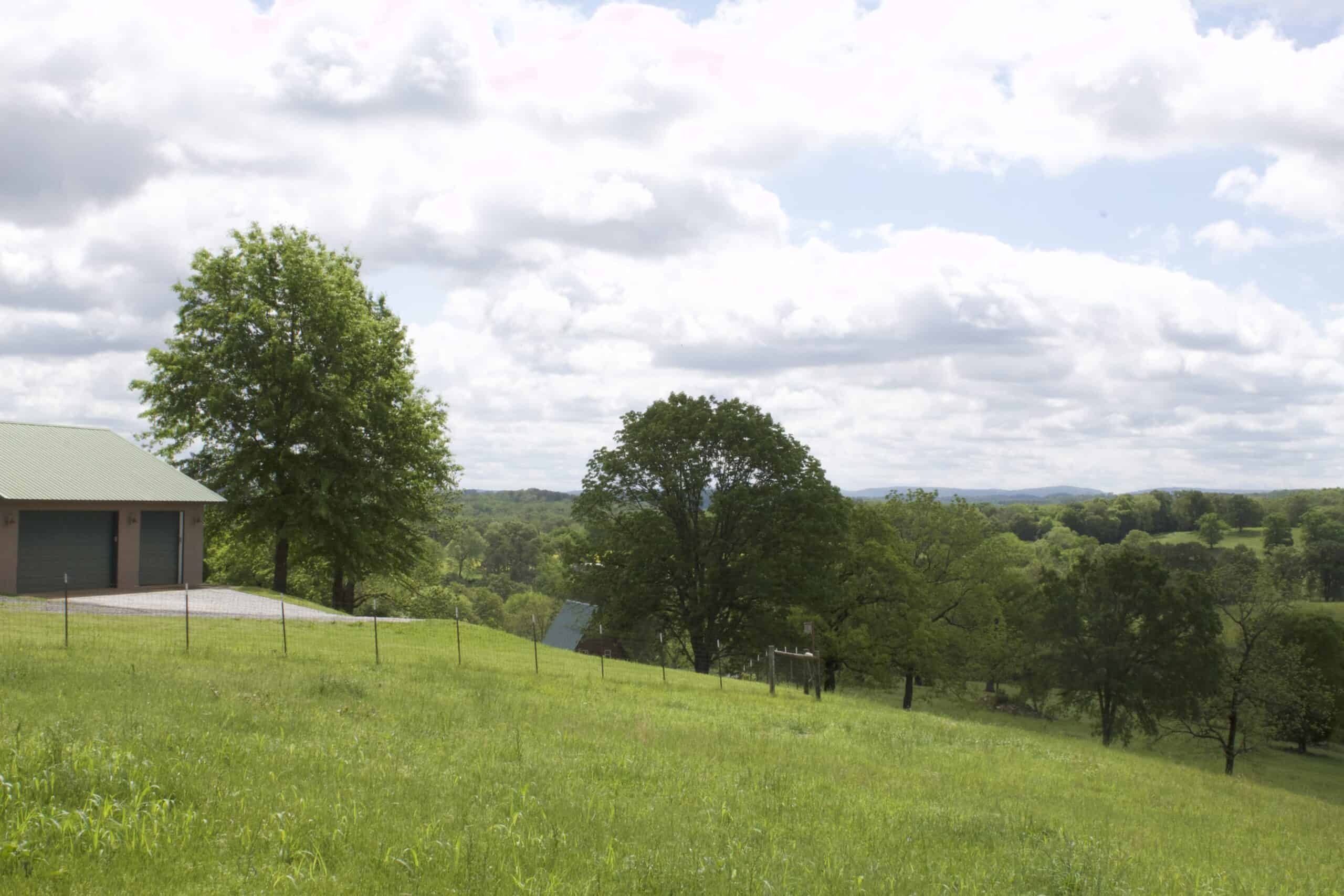 74 Acre Homesteaders paradise