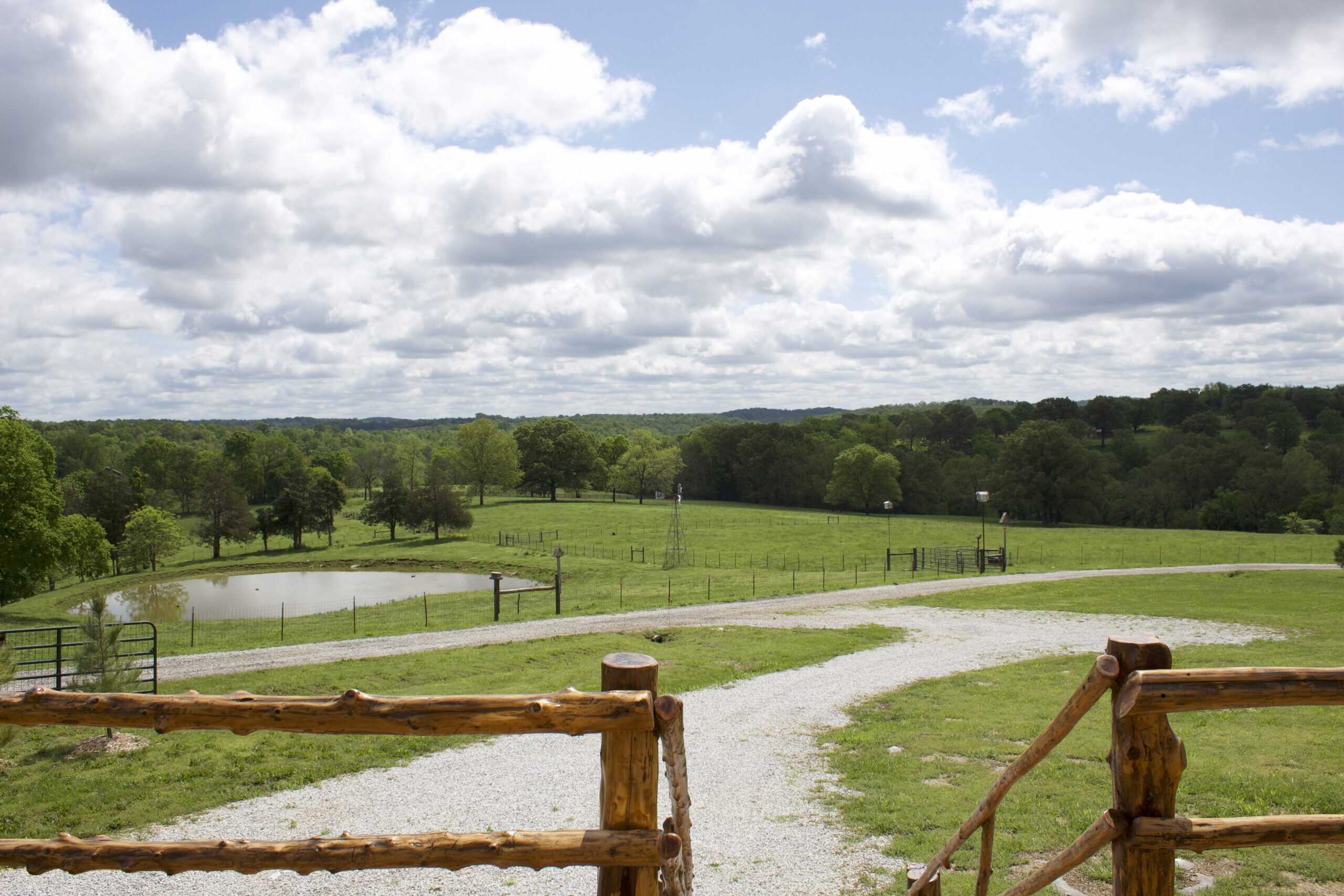 74 Acre Homesteaders paradise