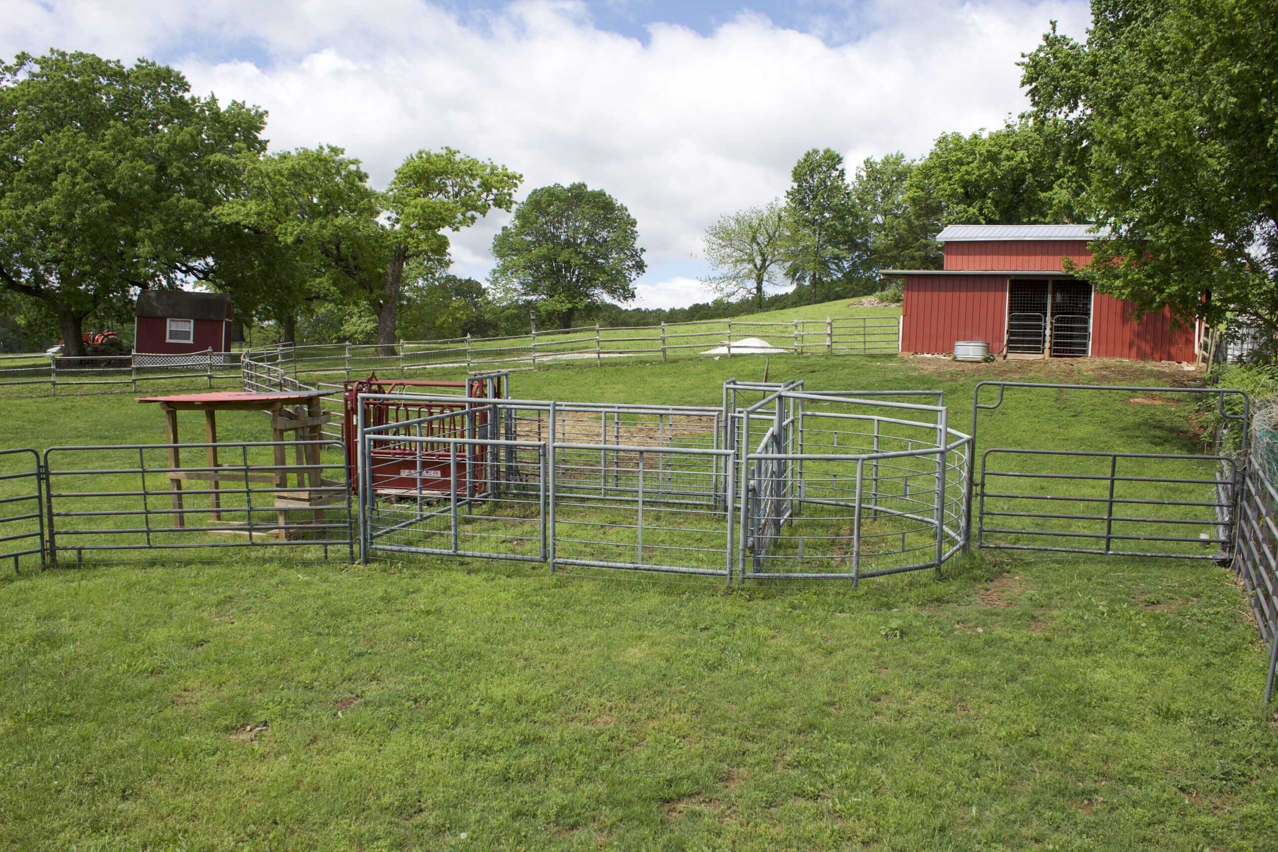 74 Acre Homesteaders paradise