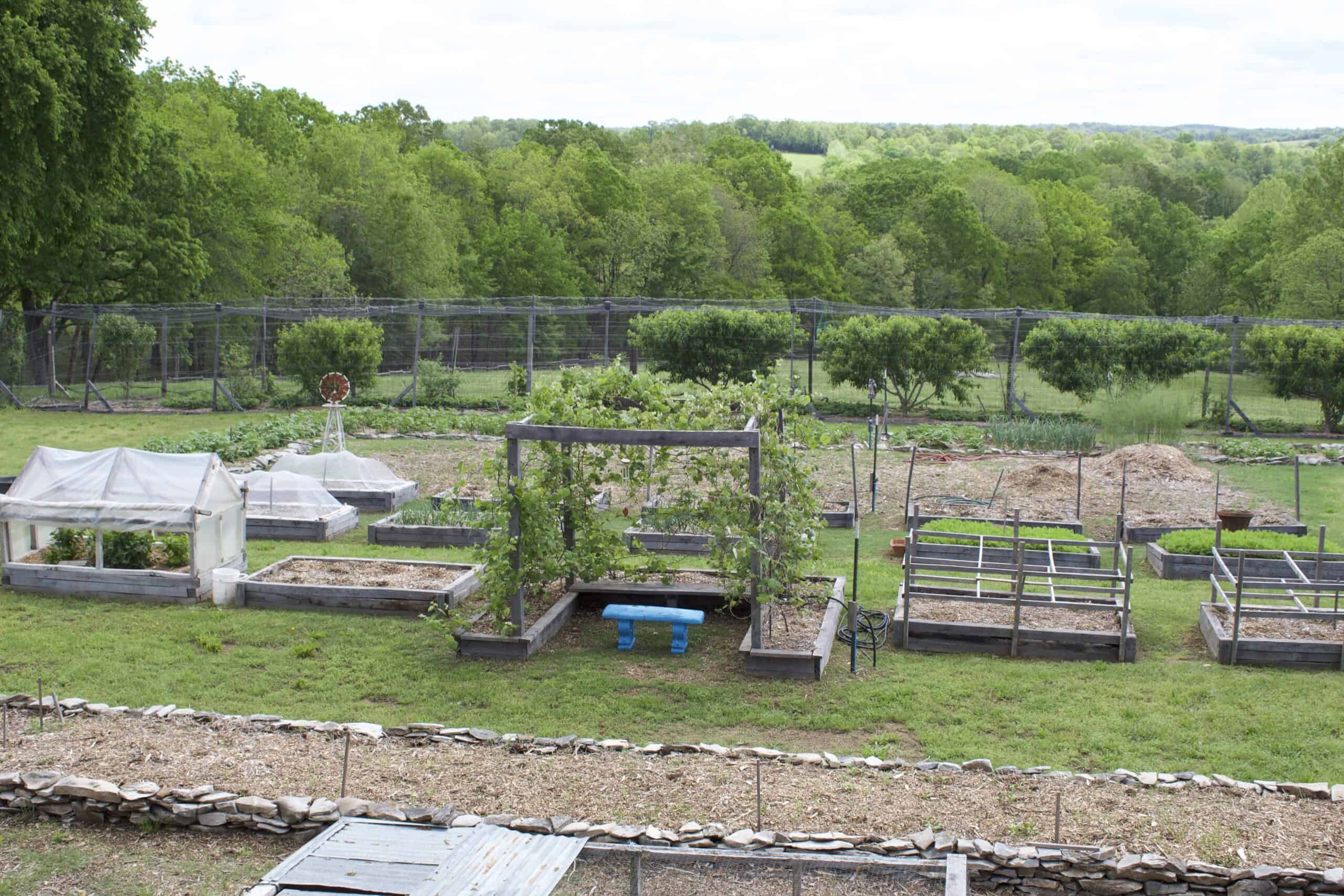 74 Acre Homesteaders paradise