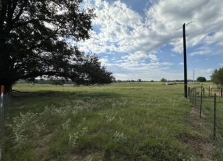 Swink Ranch located in East Texas