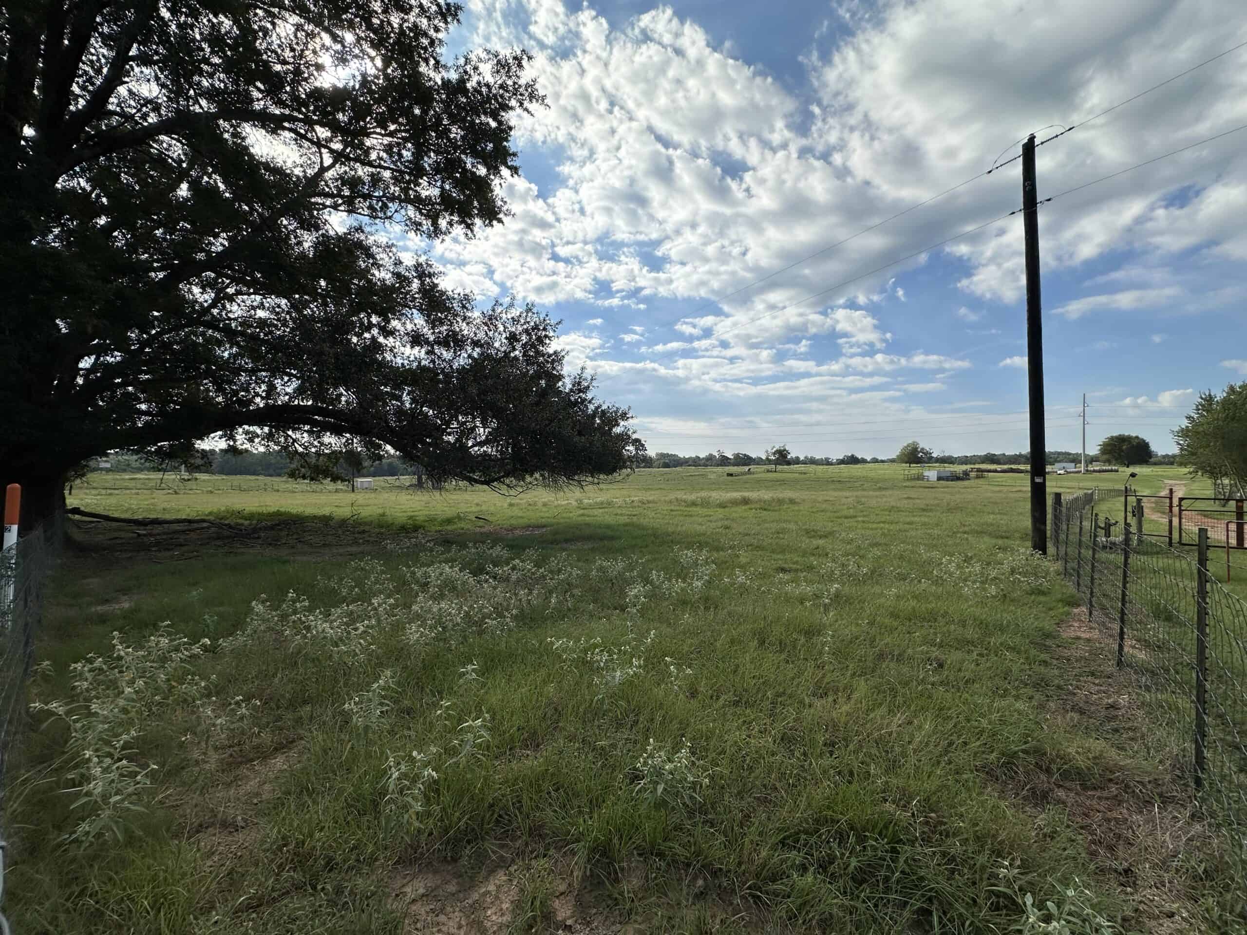 Swink Ranch located in East Texas