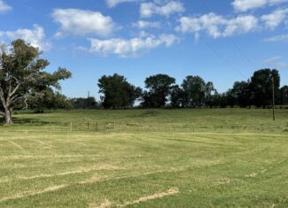 Swink Ranch located in East Texas