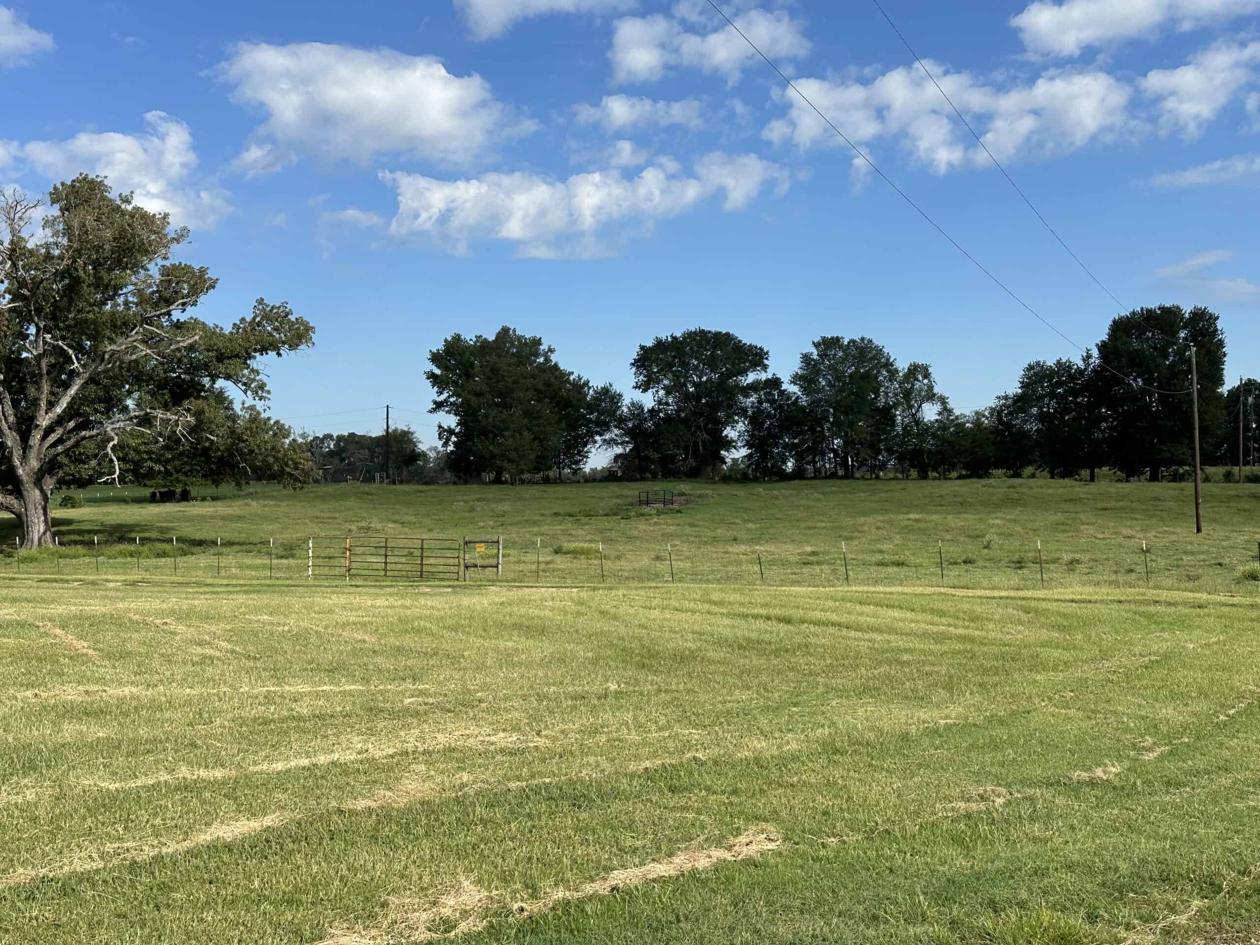 Swink Ranch located in East Texas