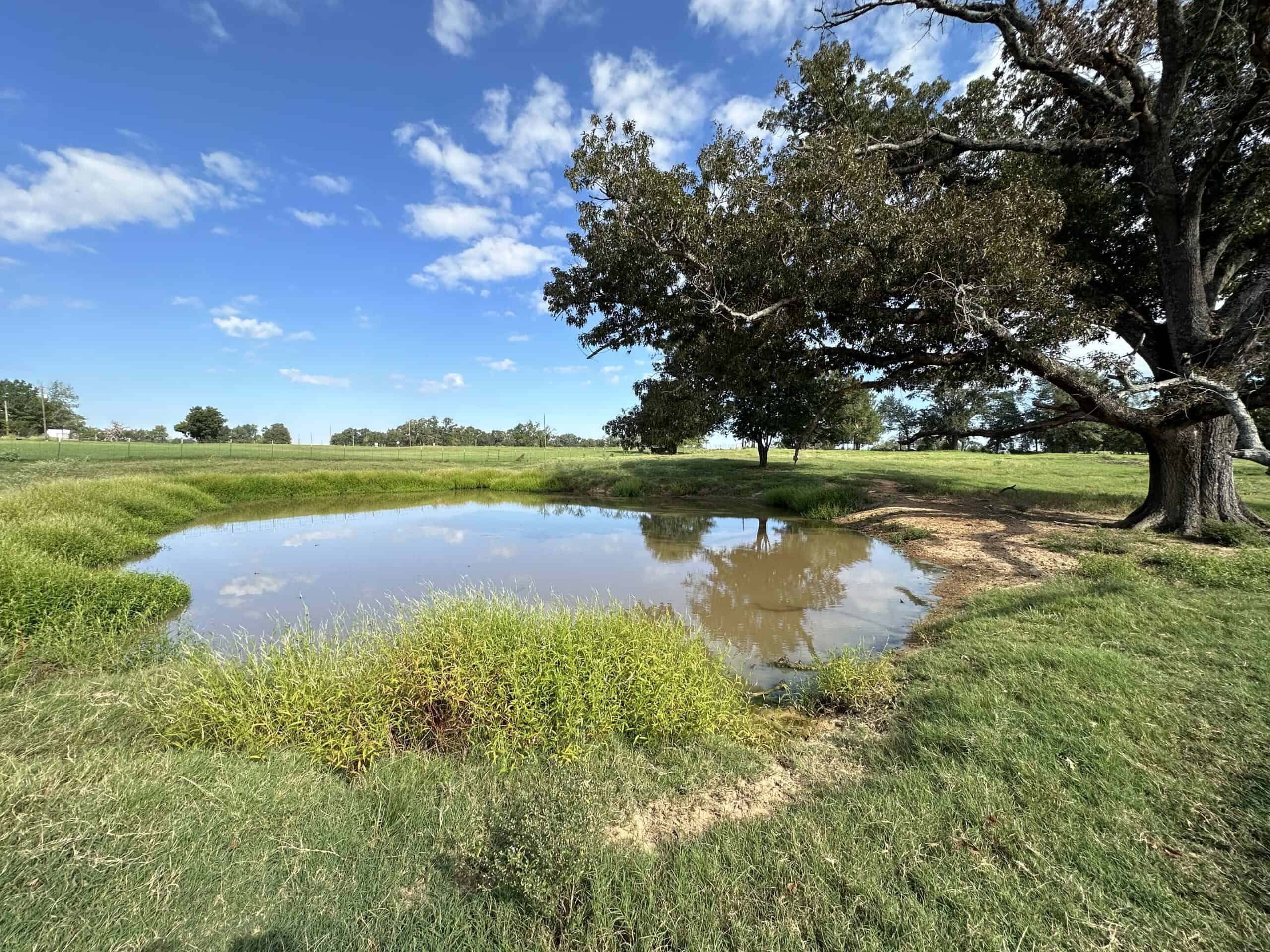 Swink Ranch located in East Texas