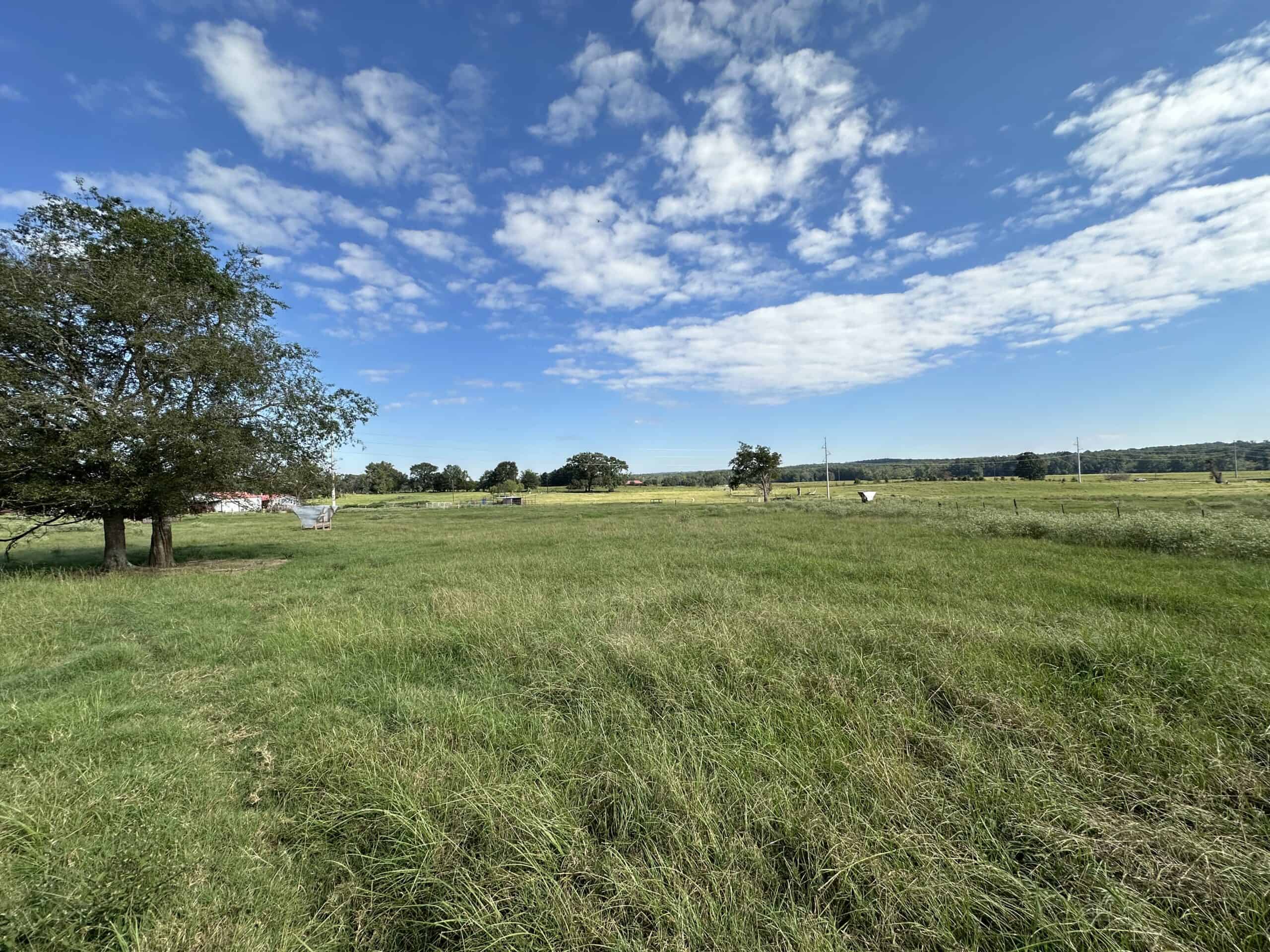 Swink Ranch located in East Texas