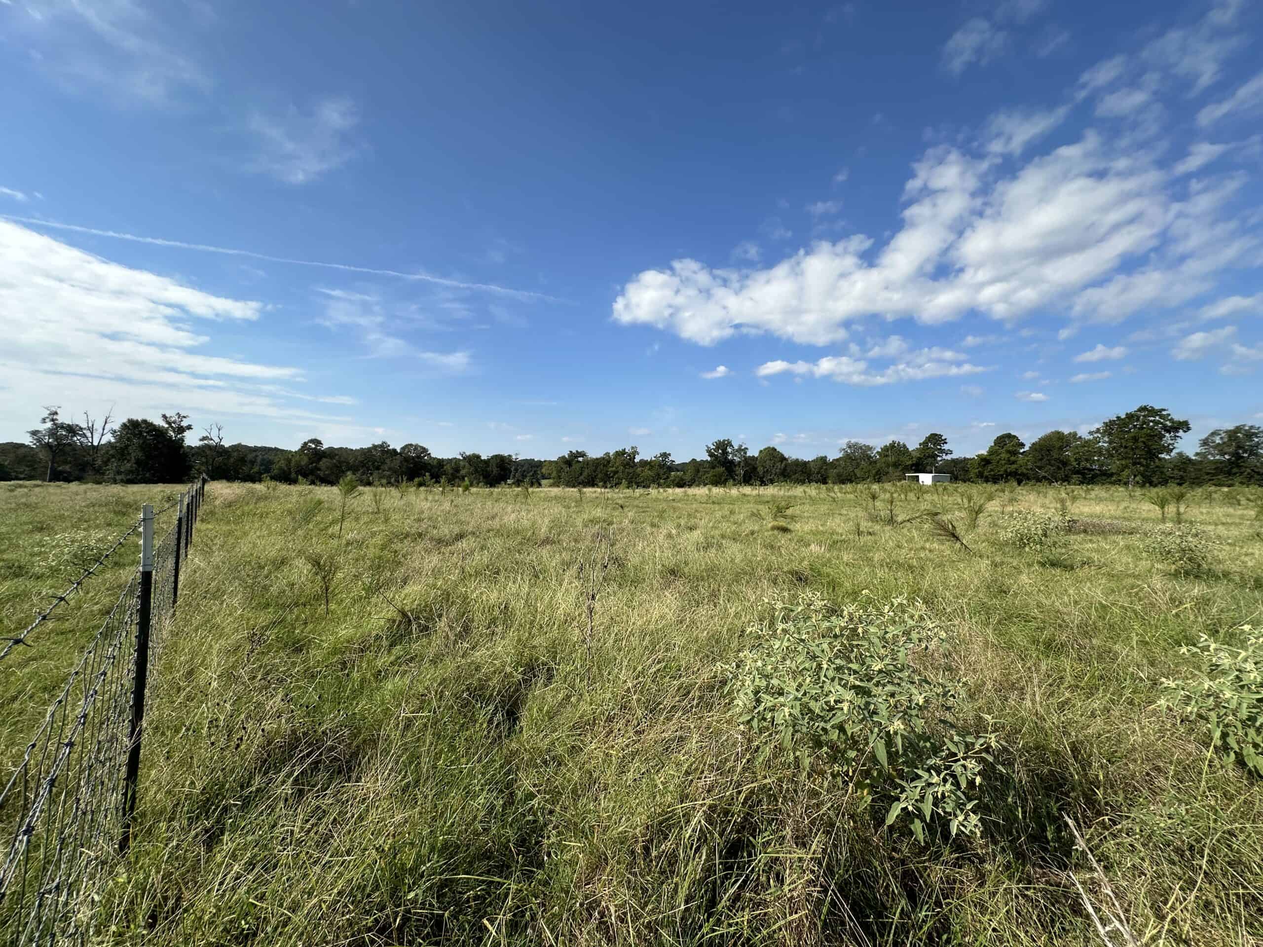 Swink Ranch located in East Texas