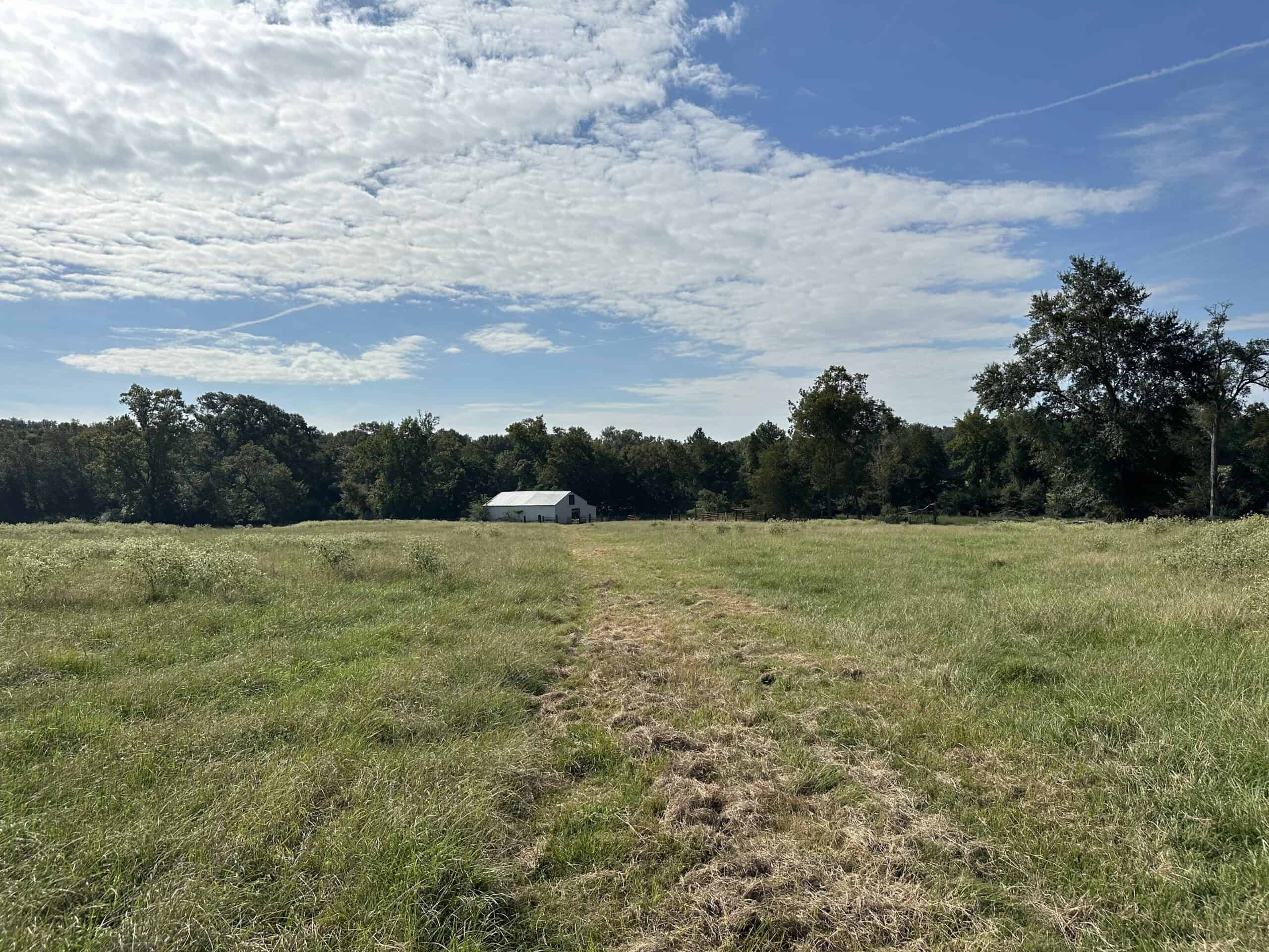 Swink Ranch located in East Texas