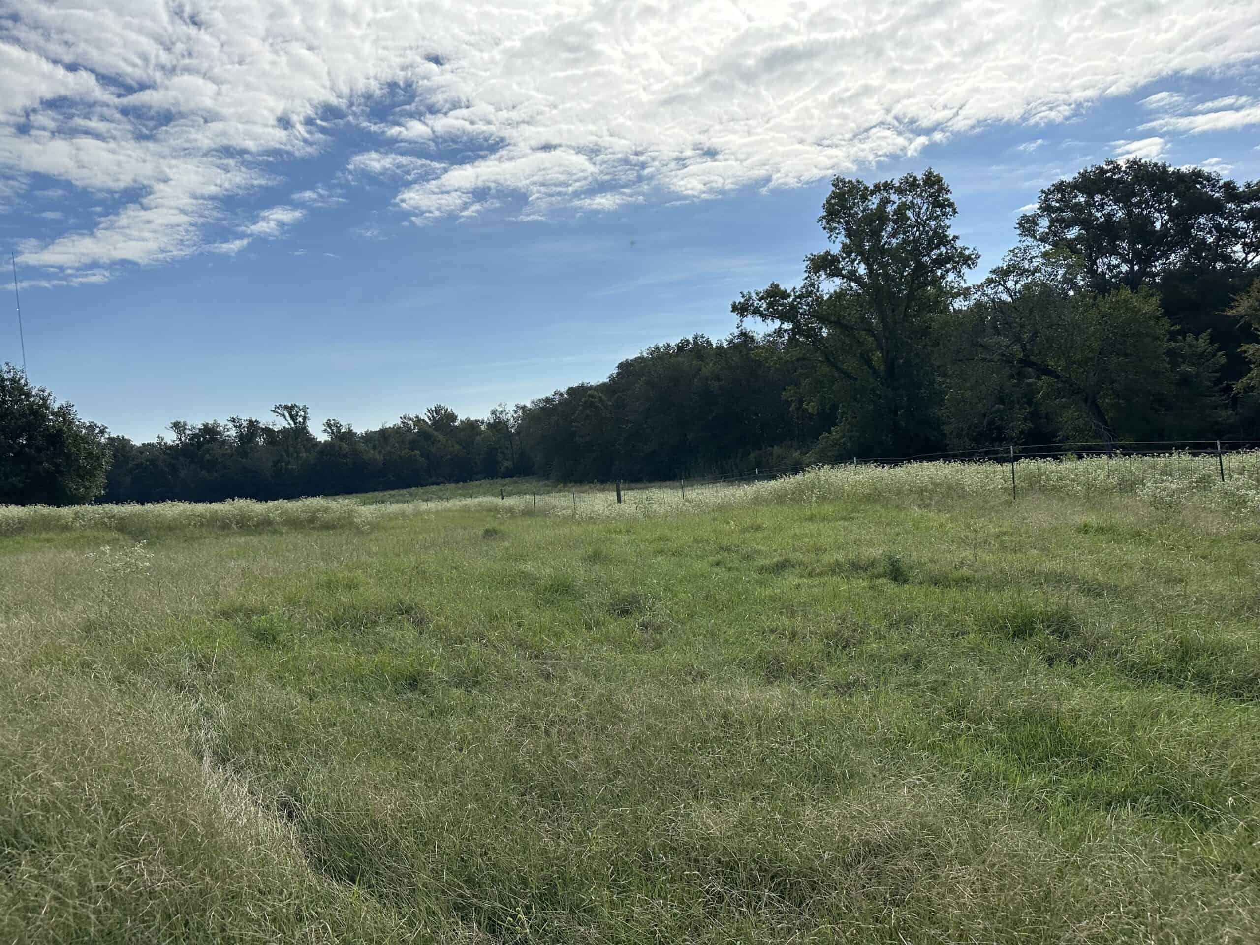 Swink Ranch located in East Texas