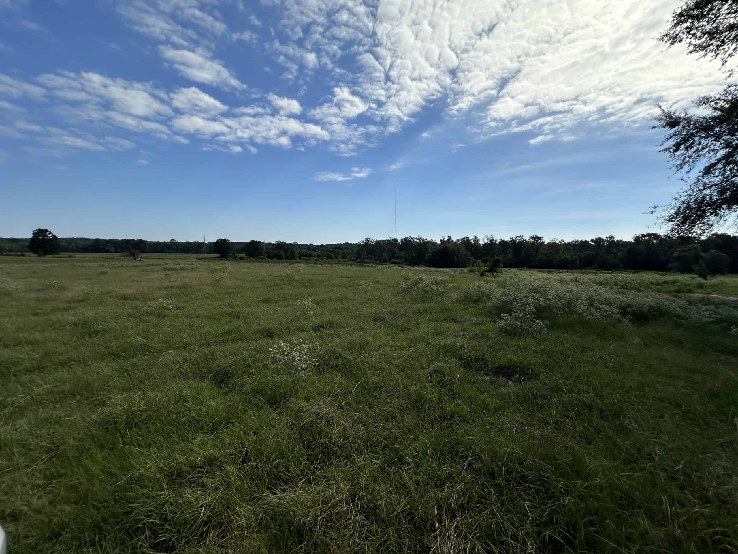 Swink Ranch located in East Texas