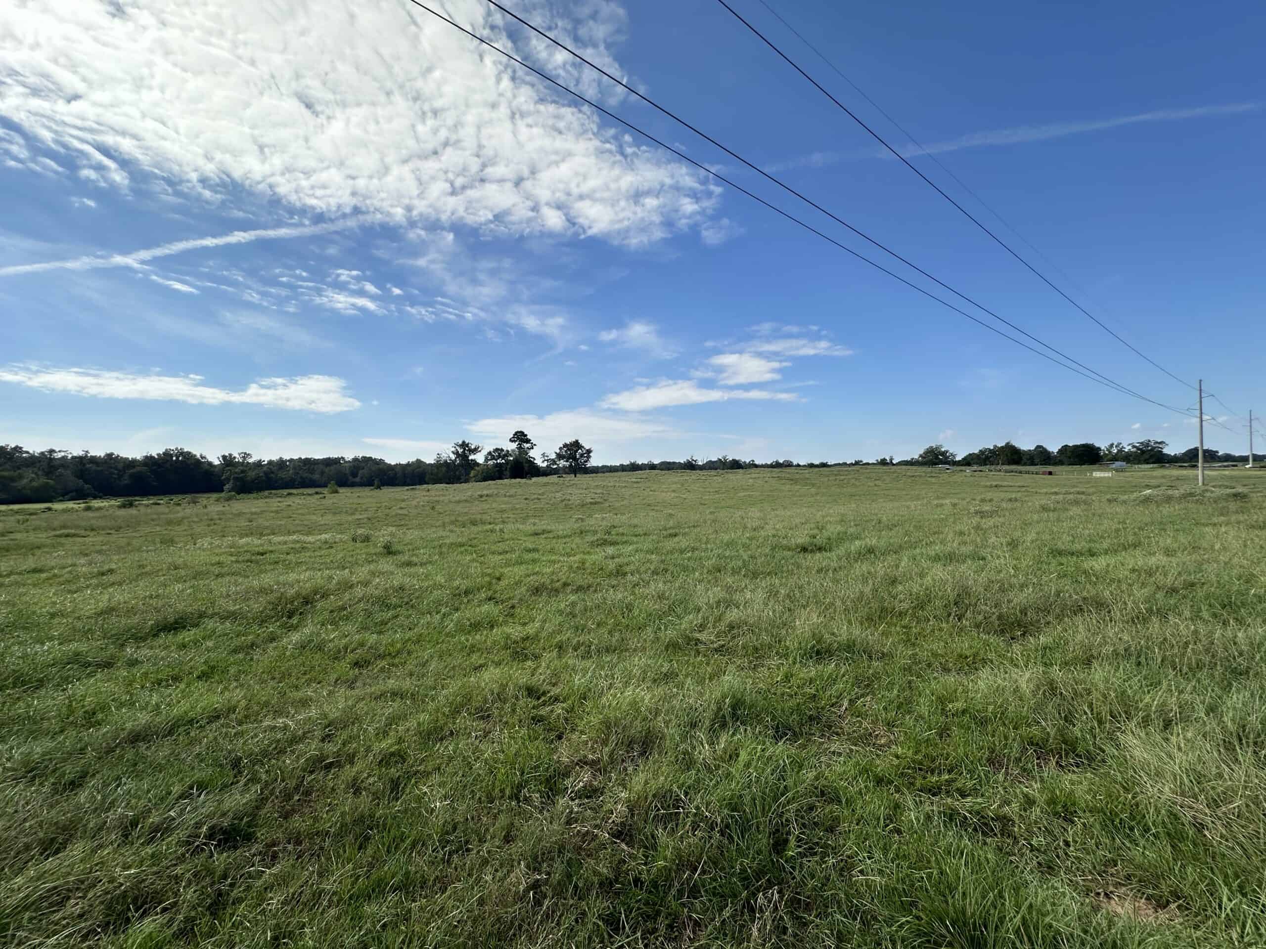 Swink Ranch located in East Texas