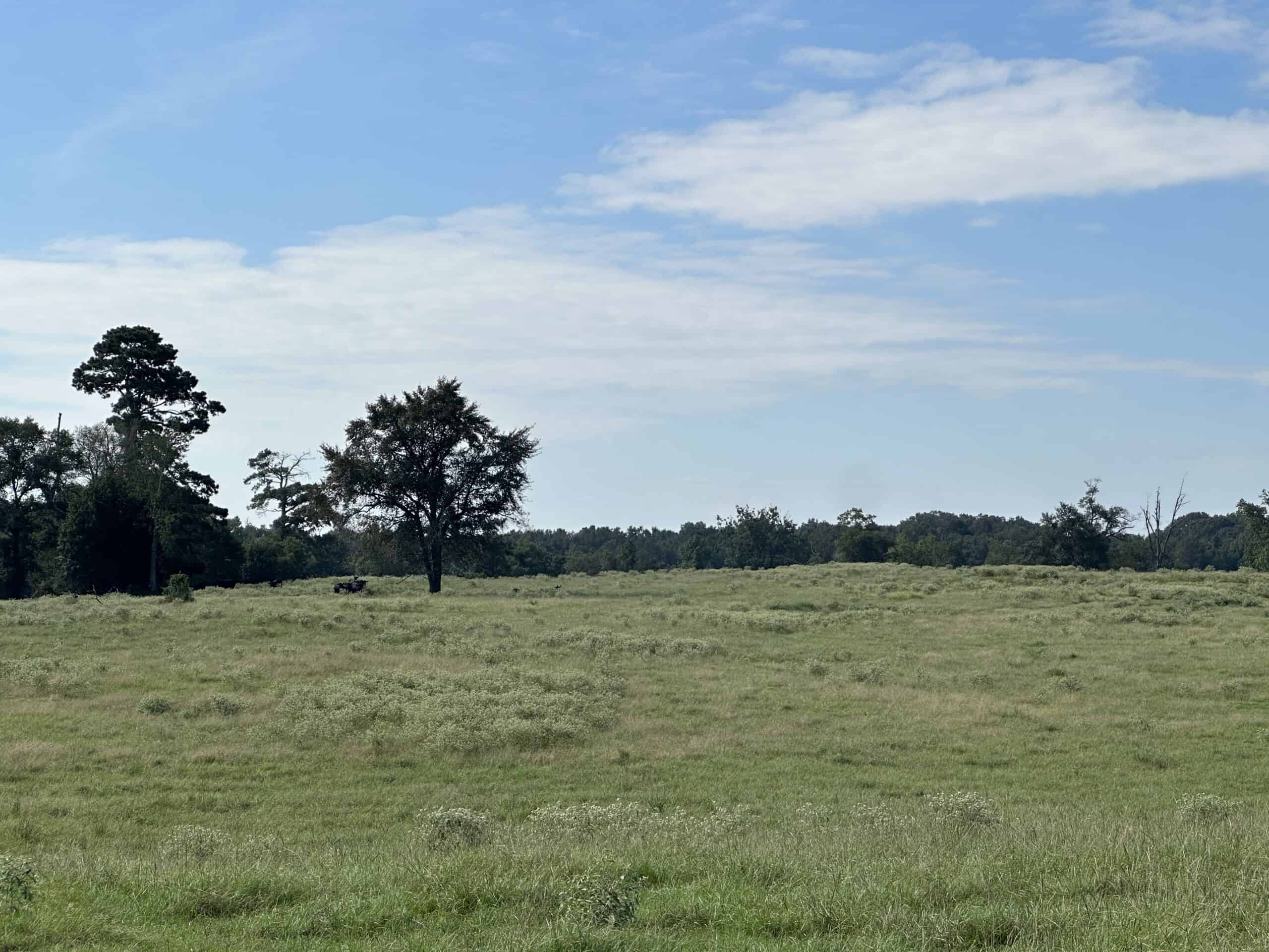 Swink Ranch located in East Texas