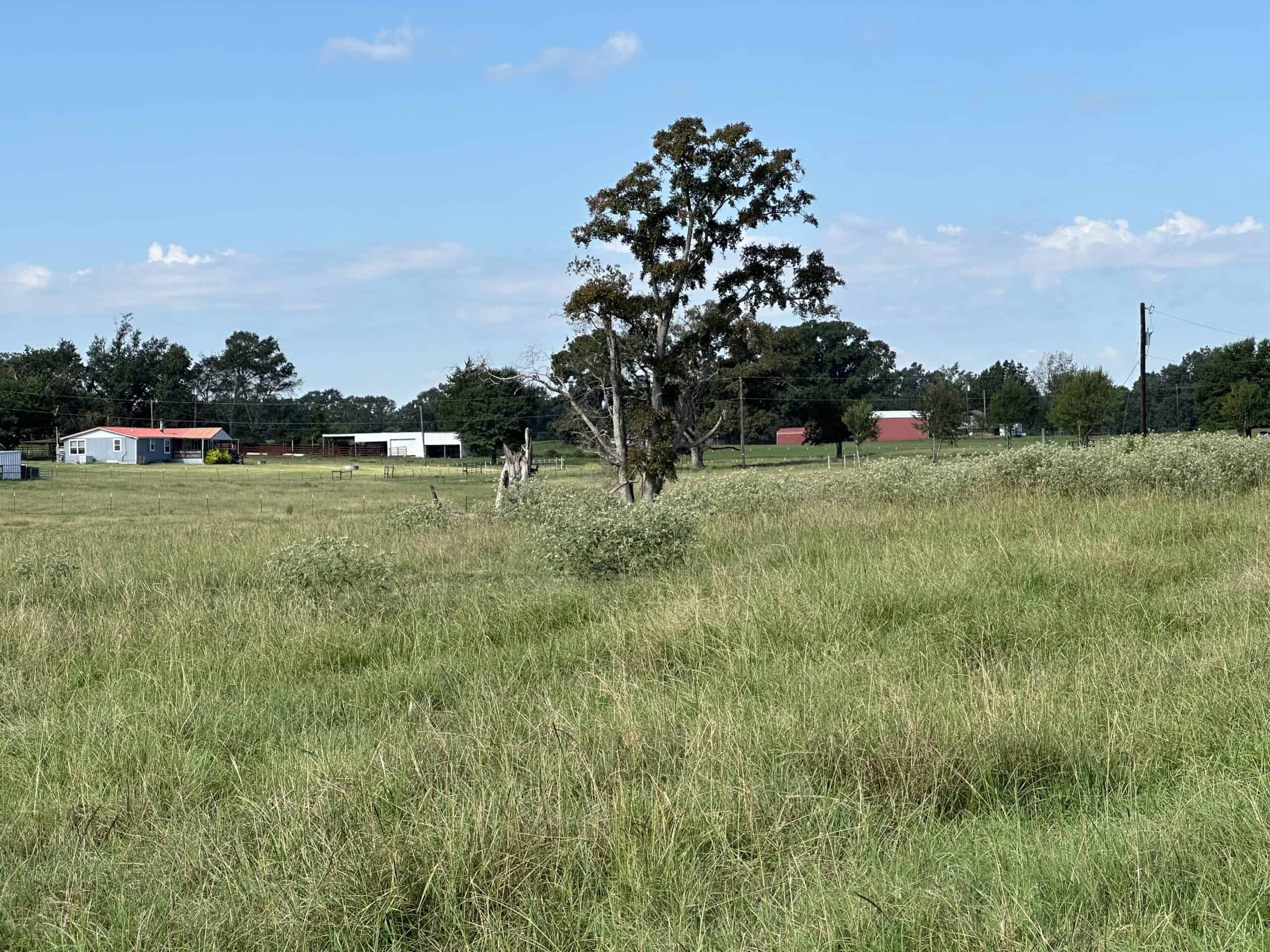 Swink Ranch located in East Texas