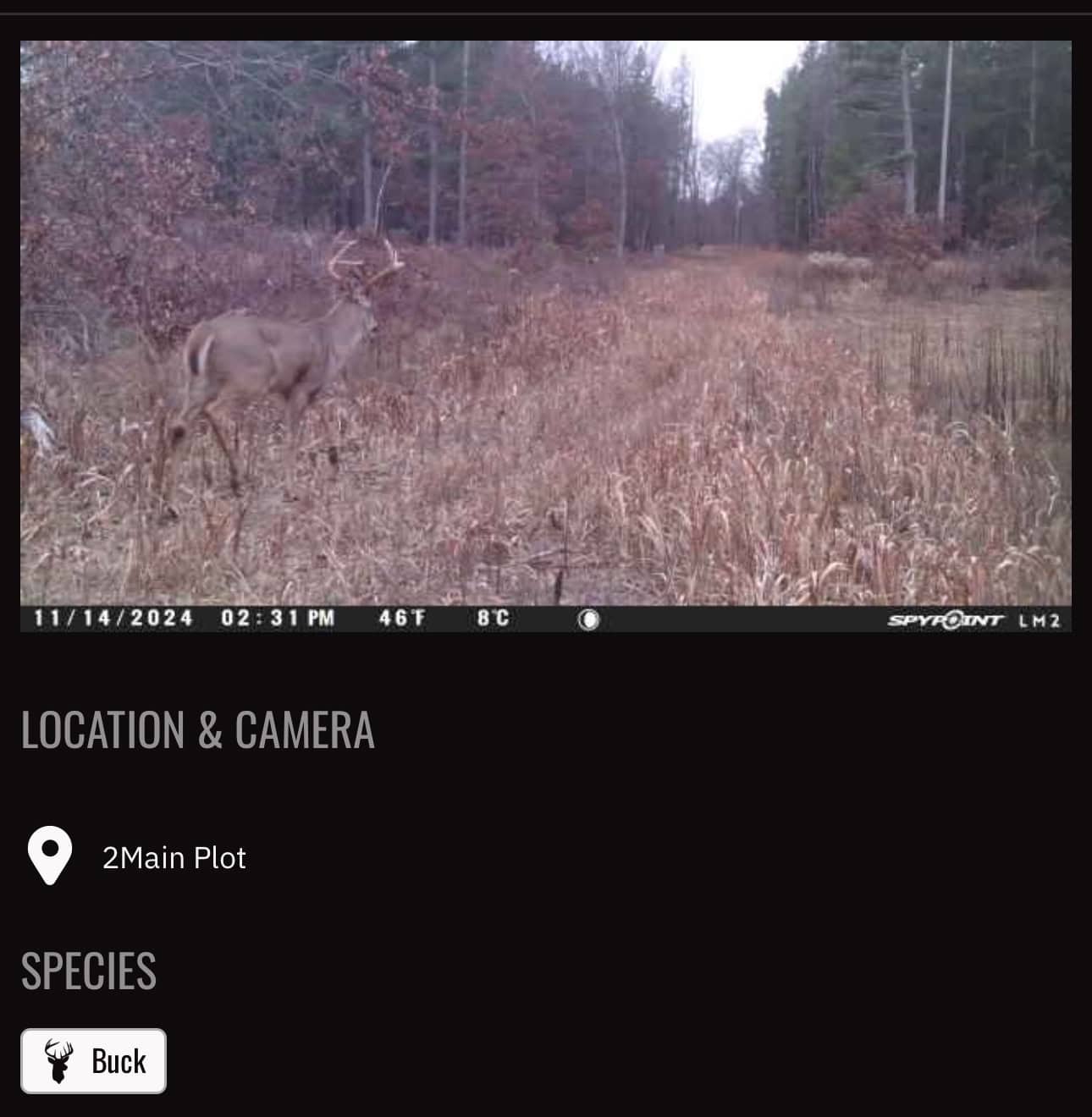 20.41 Acre Sportsman Paradise Juneau County WI