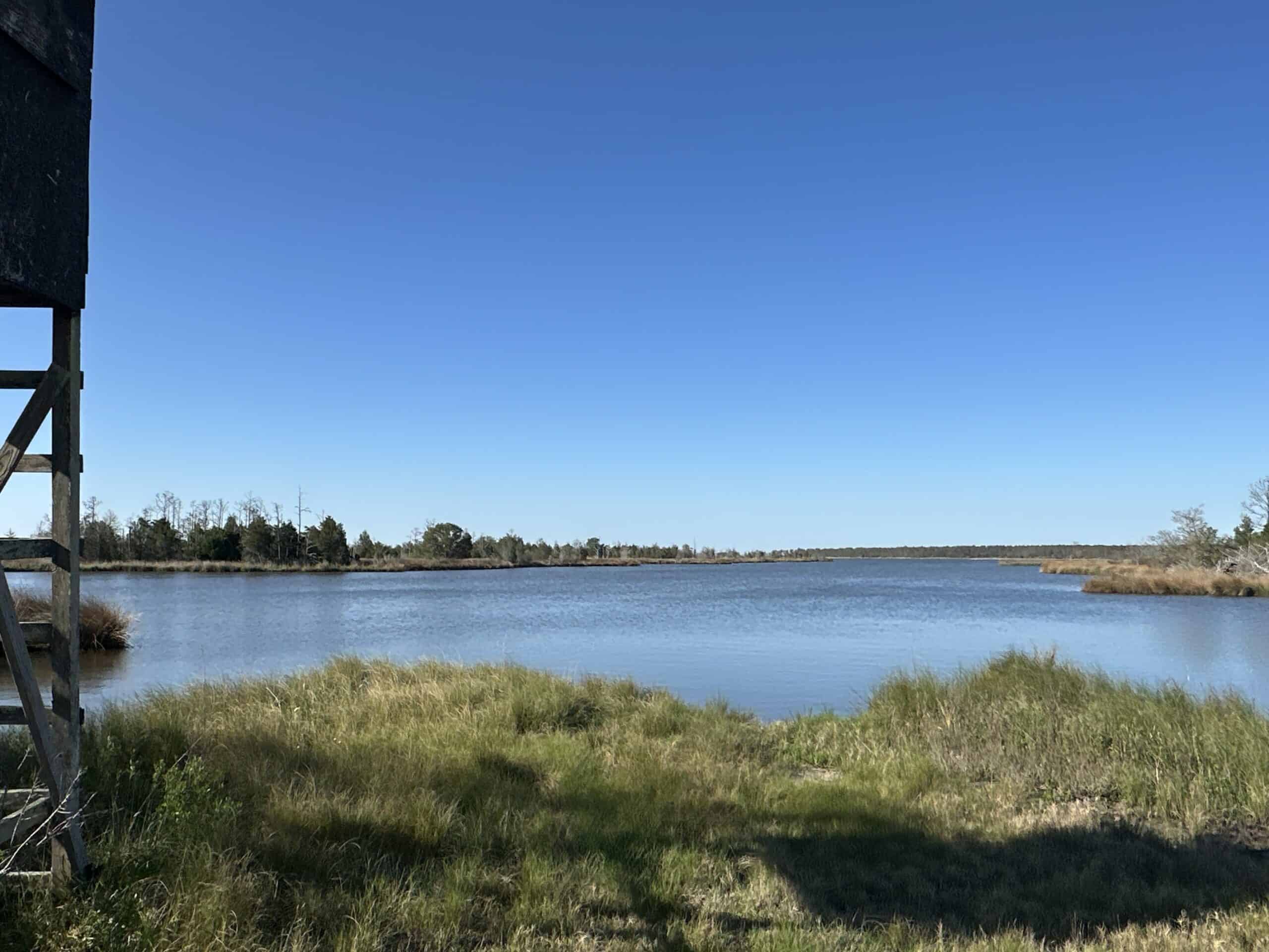 200-AC Hunting & Waterfront Tract in Hyde County, NC