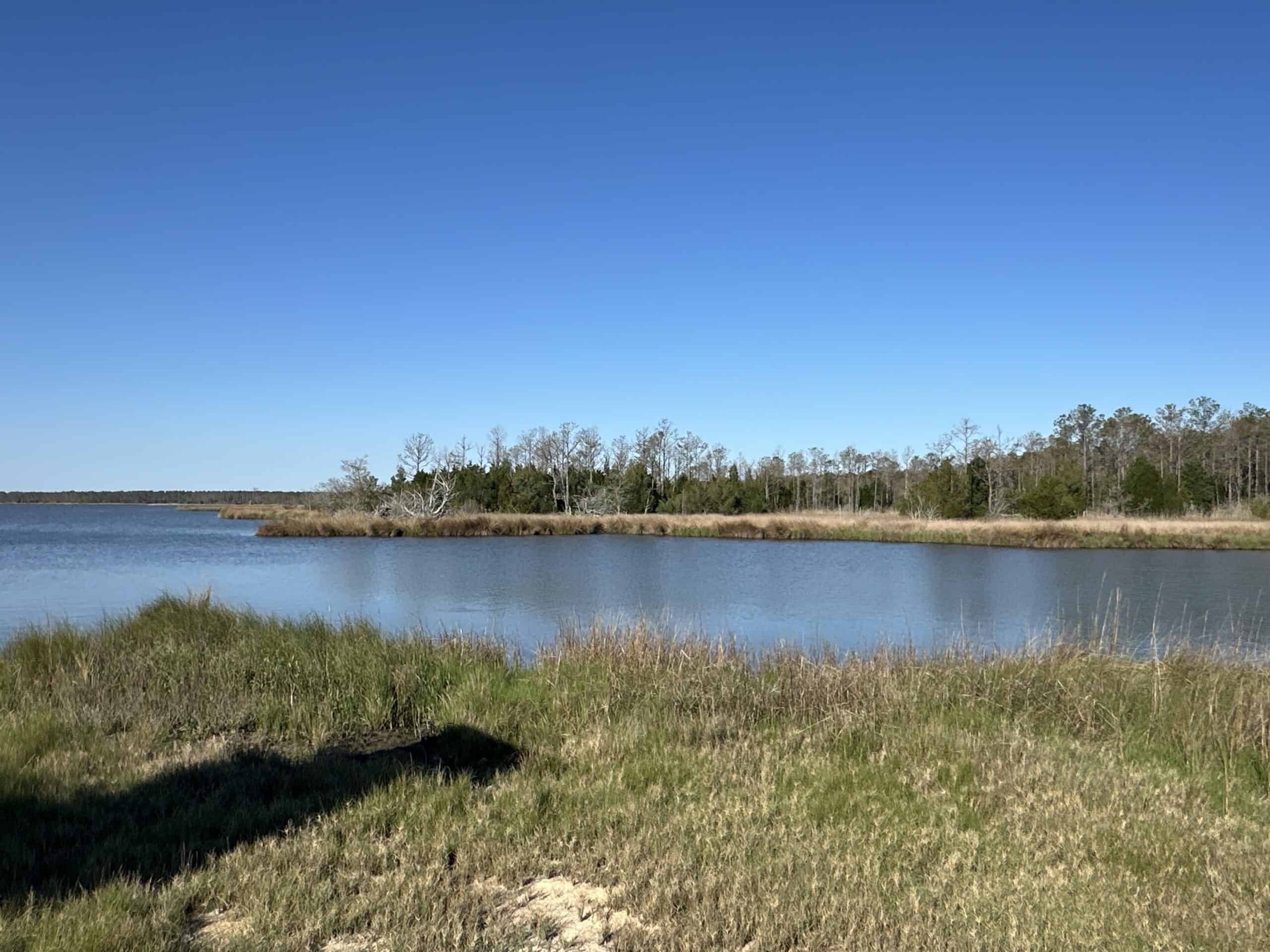 200-AC Hunting & Waterfront Tract in Hyde County, NC