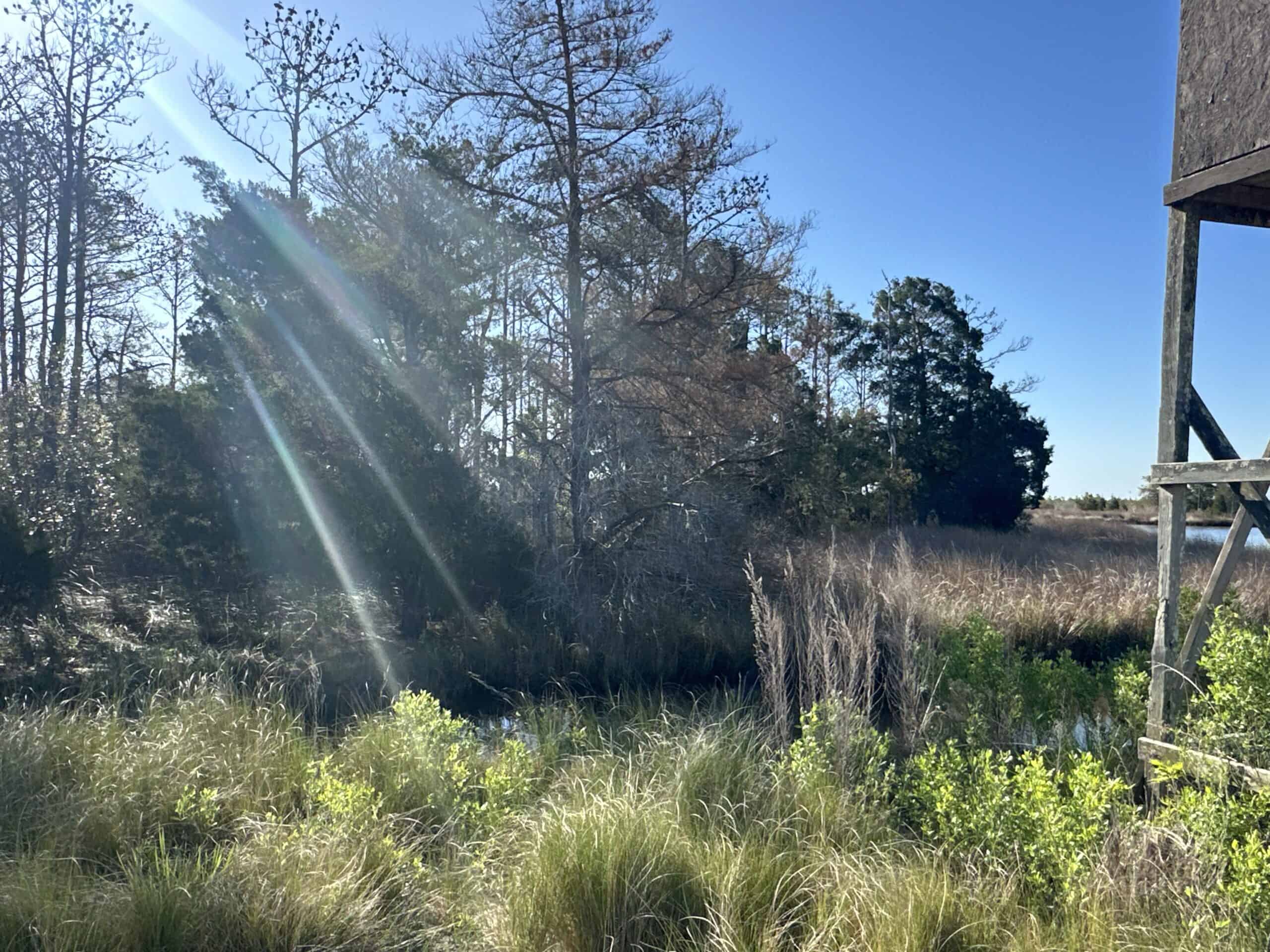 200-AC Hunting & Waterfront Tract in Hyde County, NC