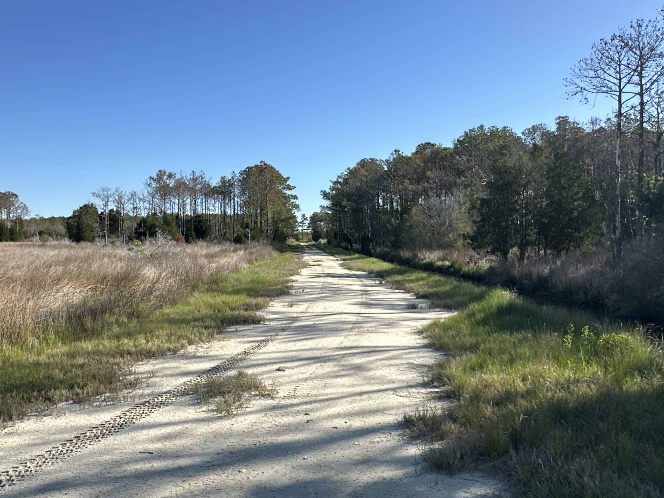 200-AC Hunting & Waterfront Tract in Hyde County, NC