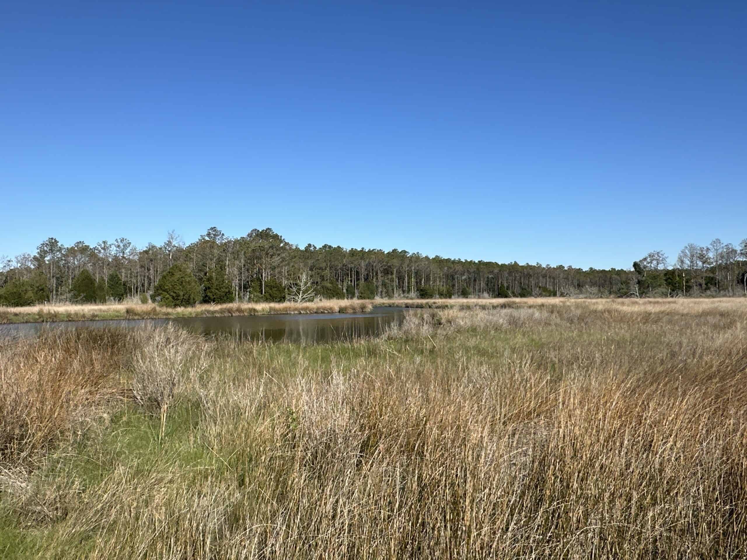 200-AC Hunting & Waterfront Tract in Hyde County, NC