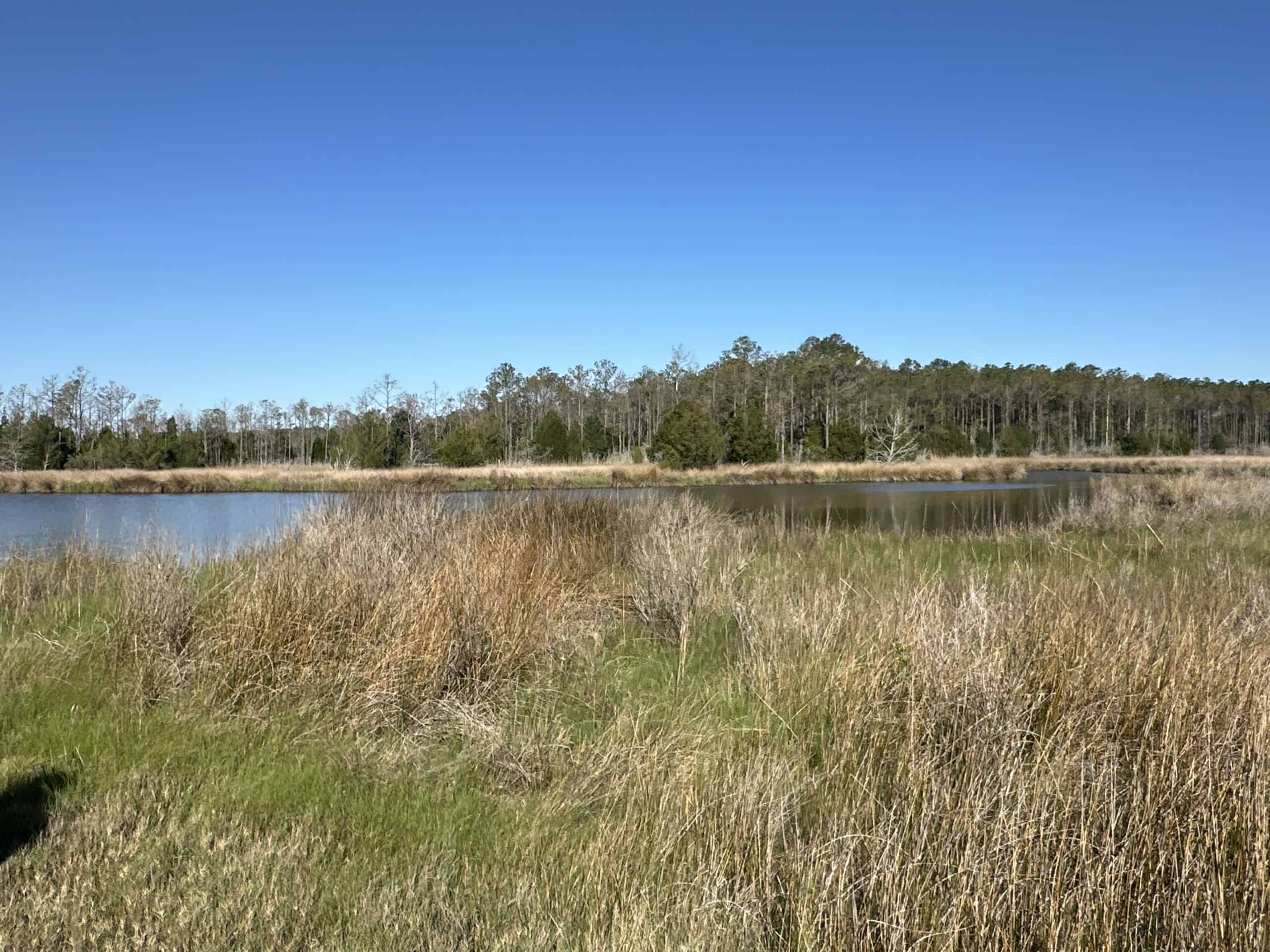 200-AC Hunting & Waterfront Tract in Hyde County, NC
