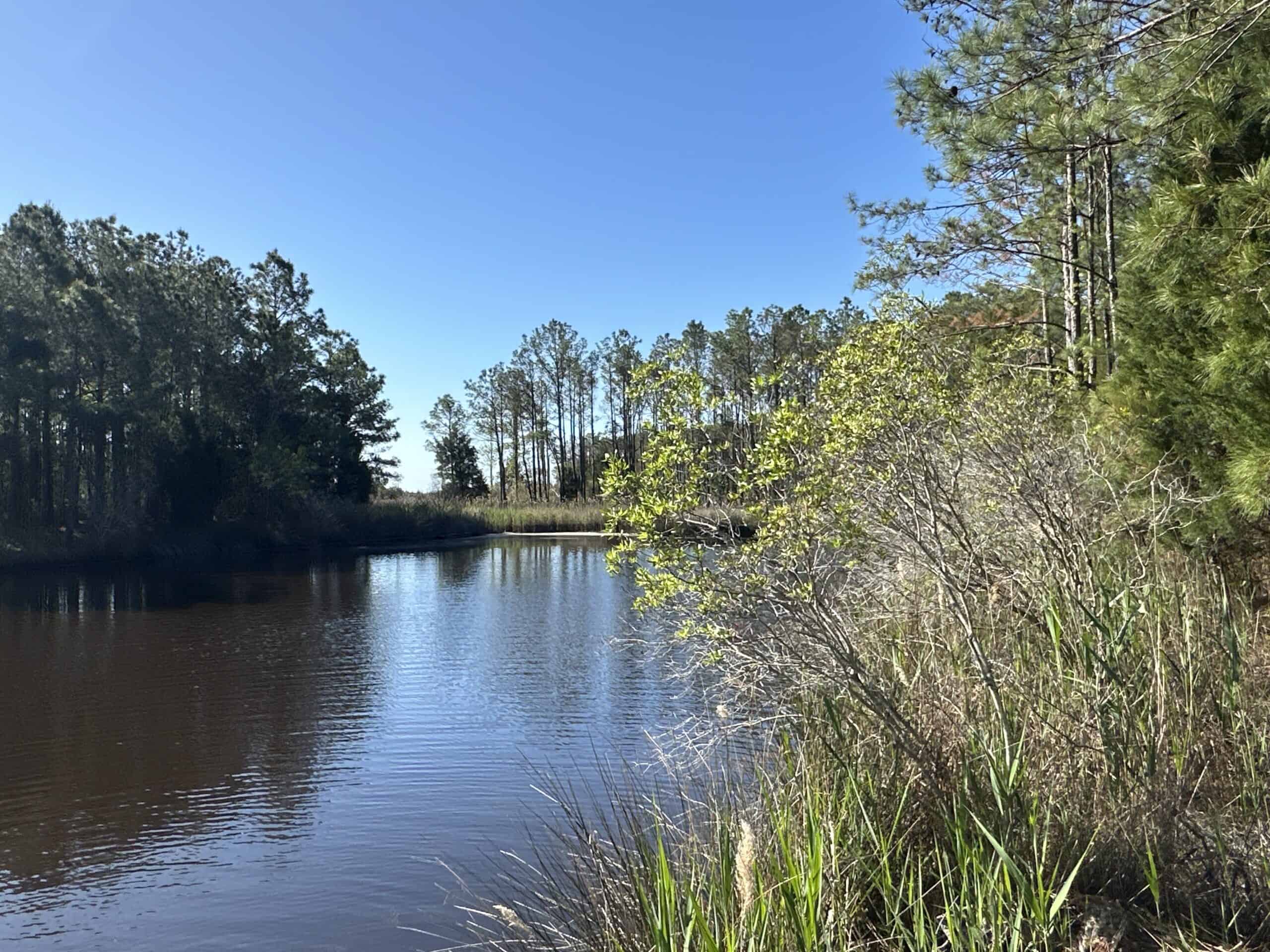 200-AC Hunting & Waterfront Tract in Hyde County, NC
