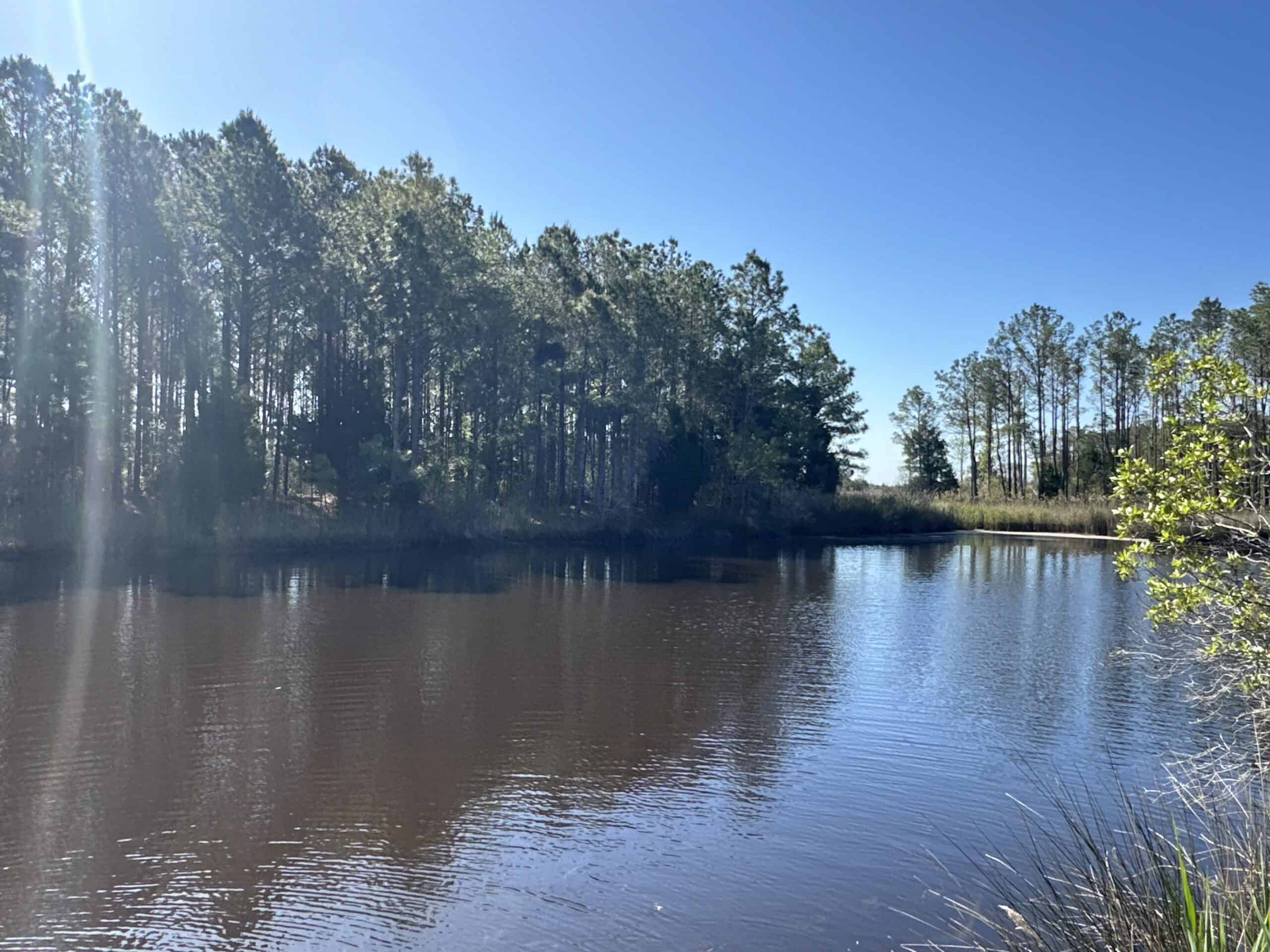 200-AC Hunting & Waterfront Tract in Hyde County, NC
