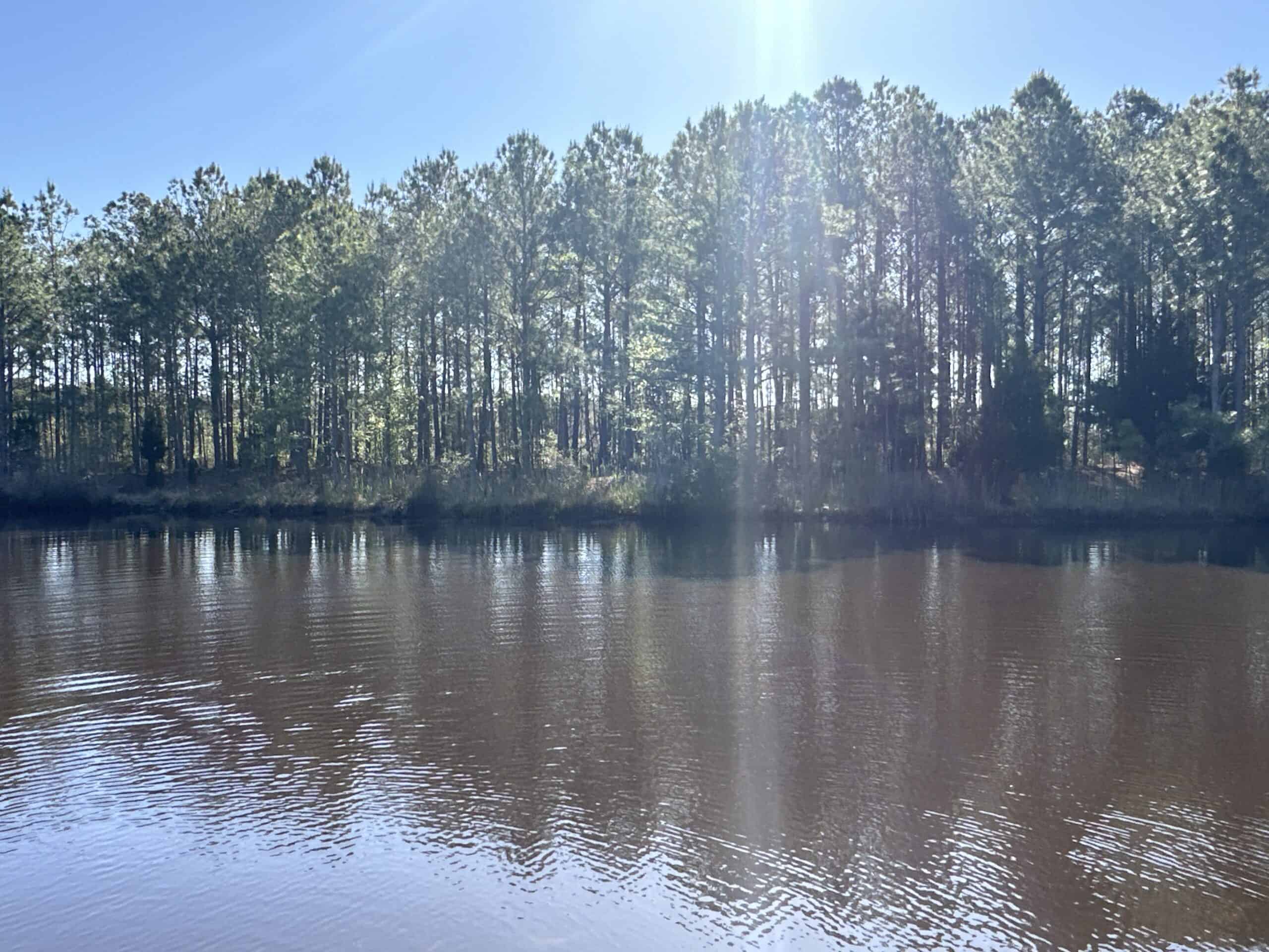 200-AC Hunting & Waterfront Tract in Hyde County, NC