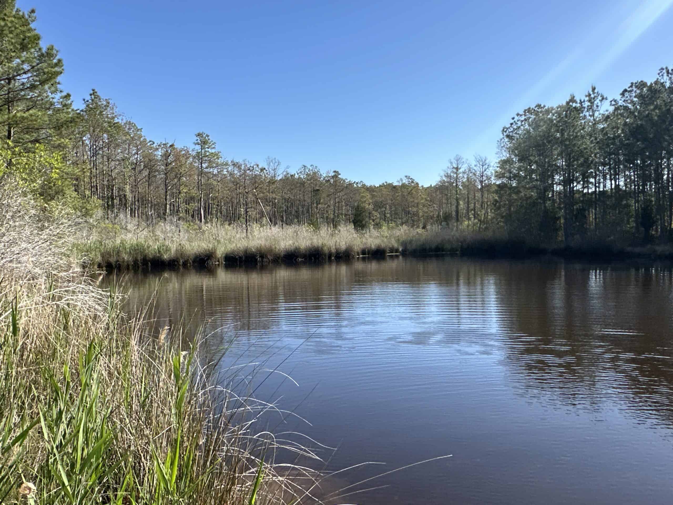 200-AC Hunting & Waterfront Tract in Hyde County, NC