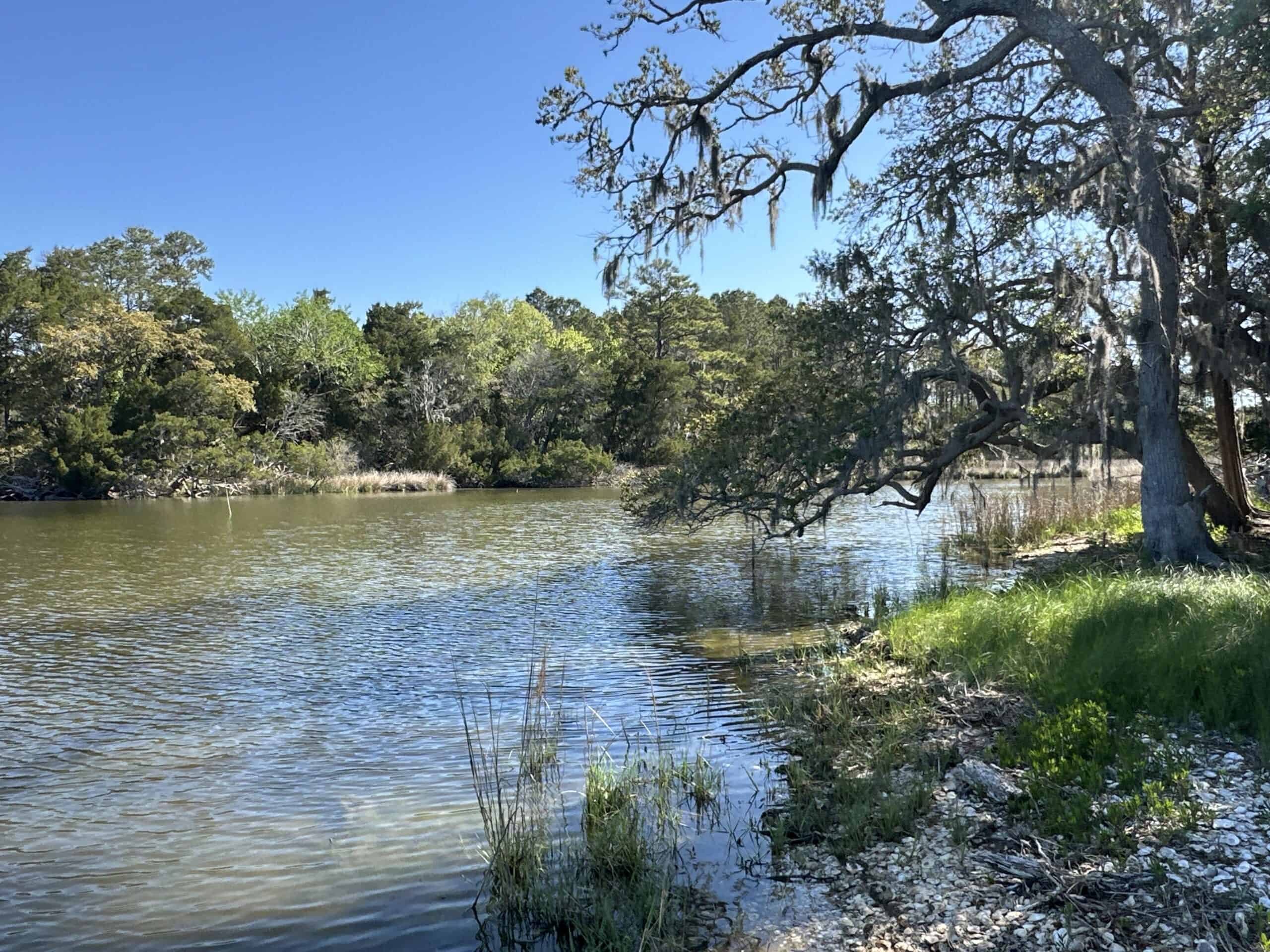 200-AC Hunting & Waterfront Tract in Hyde County, NC