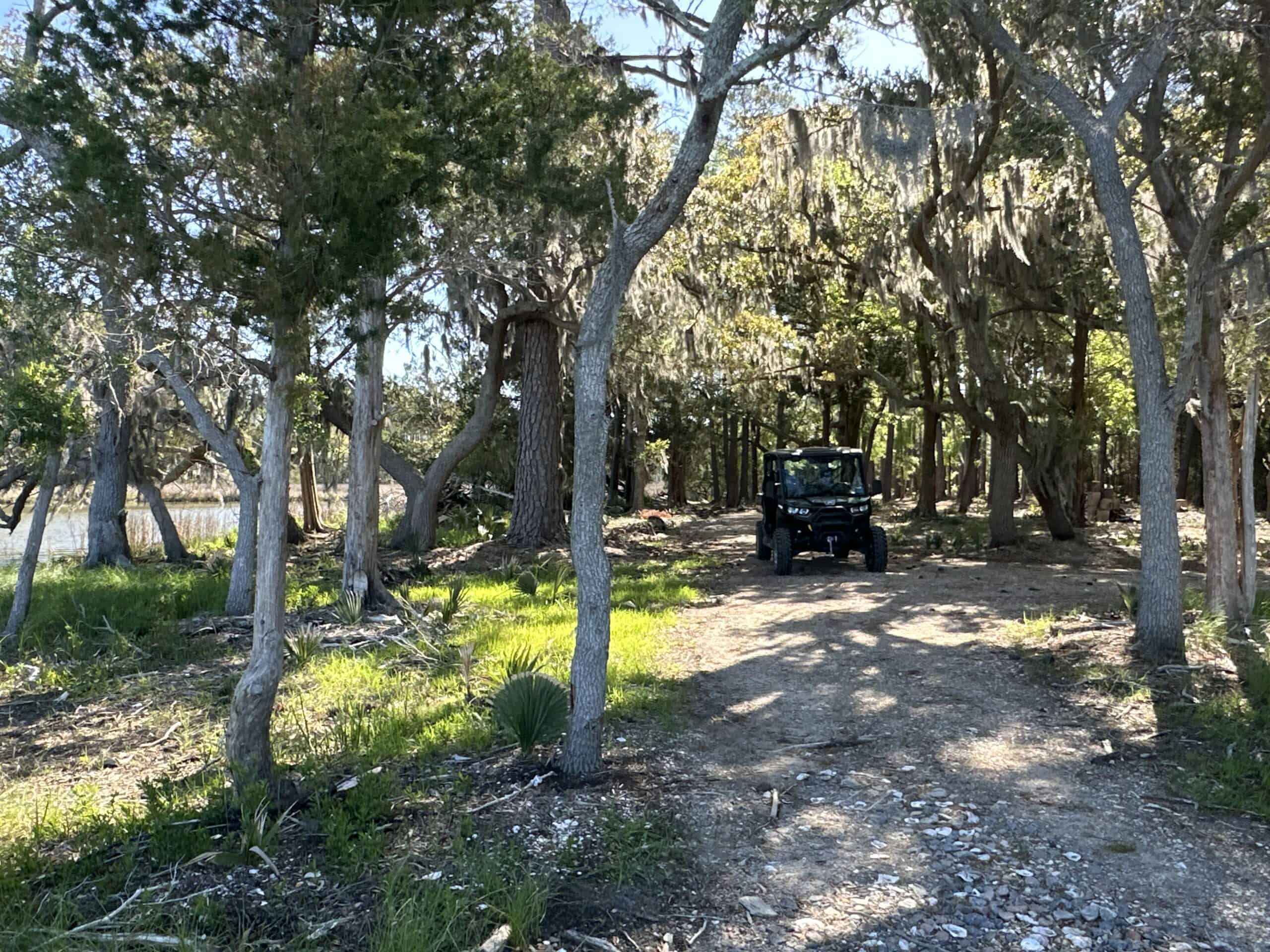 200-AC Hunting & Waterfront Tract in Hyde County, NC