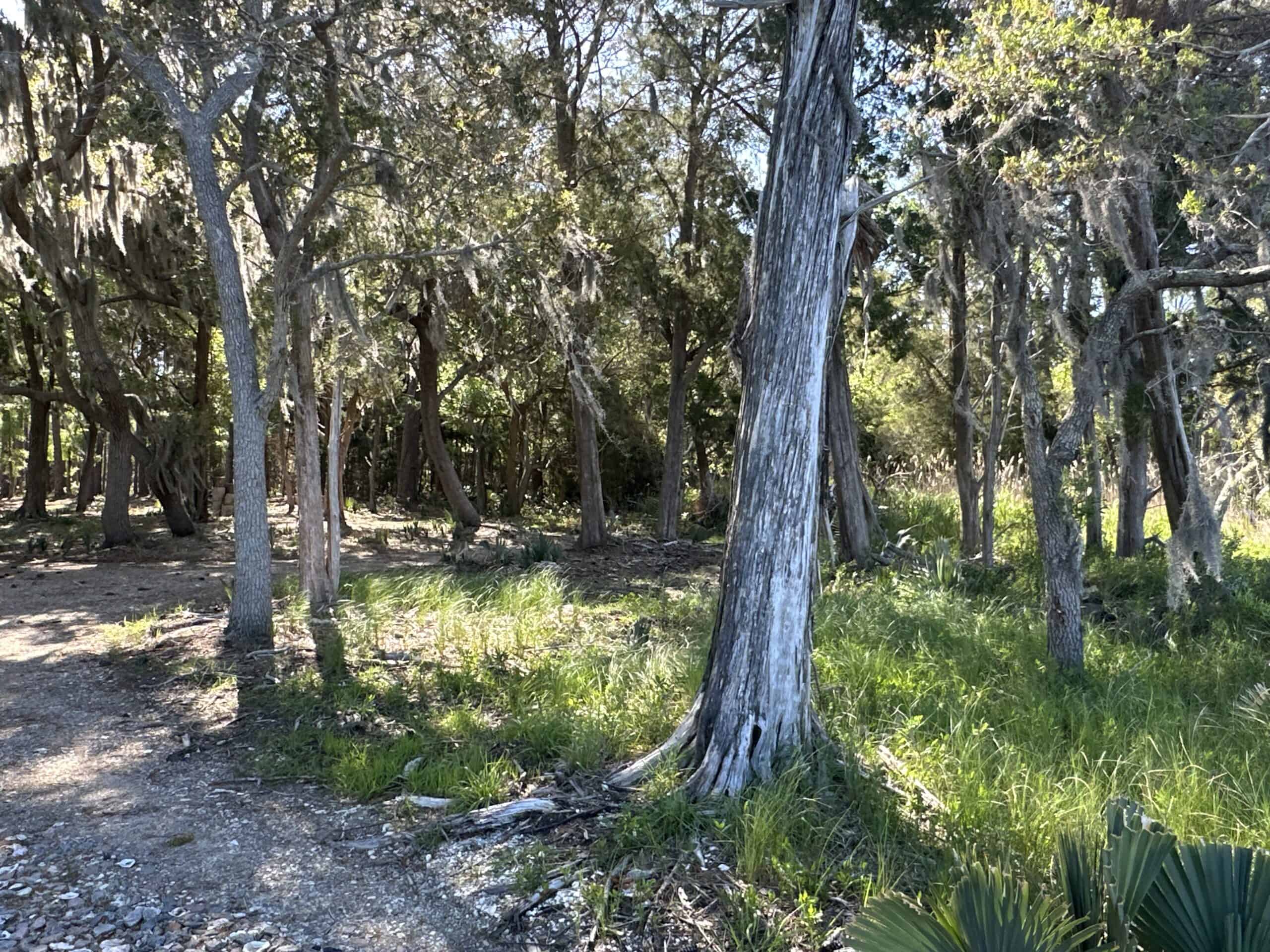 200-AC Hunting & Waterfront Tract in Hyde County, NC