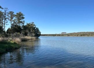 200-AC Hunting & Waterfront Tract in Hyde County, NC