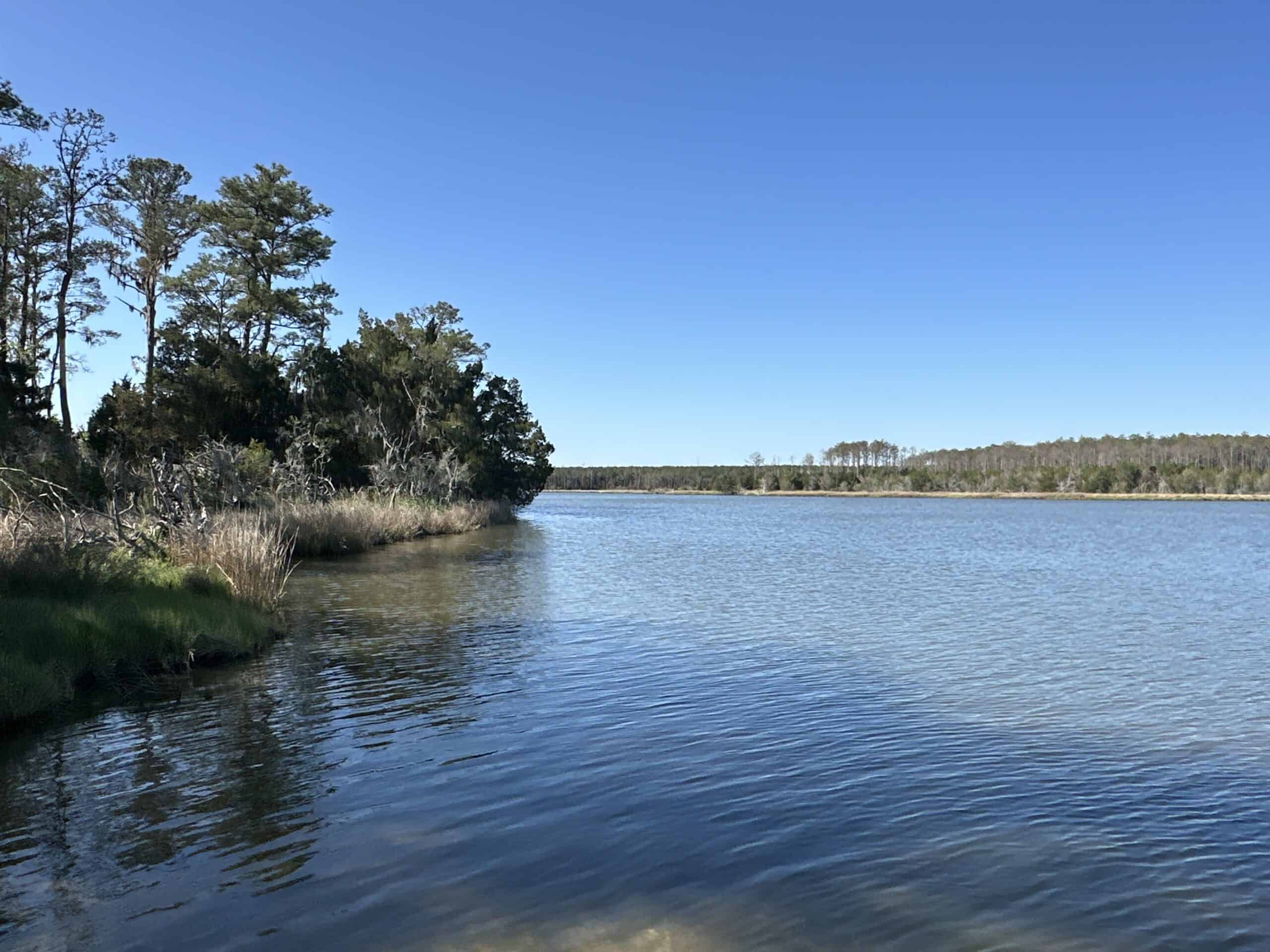 200-AC Hunting & Waterfront Tract in Hyde County, NC