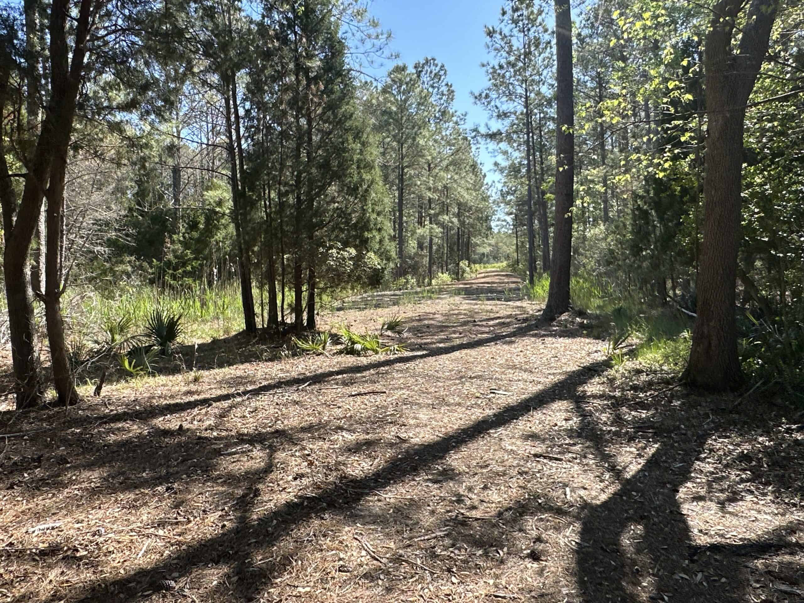 200-AC Hunting & Waterfront Tract in Hyde County, NC
