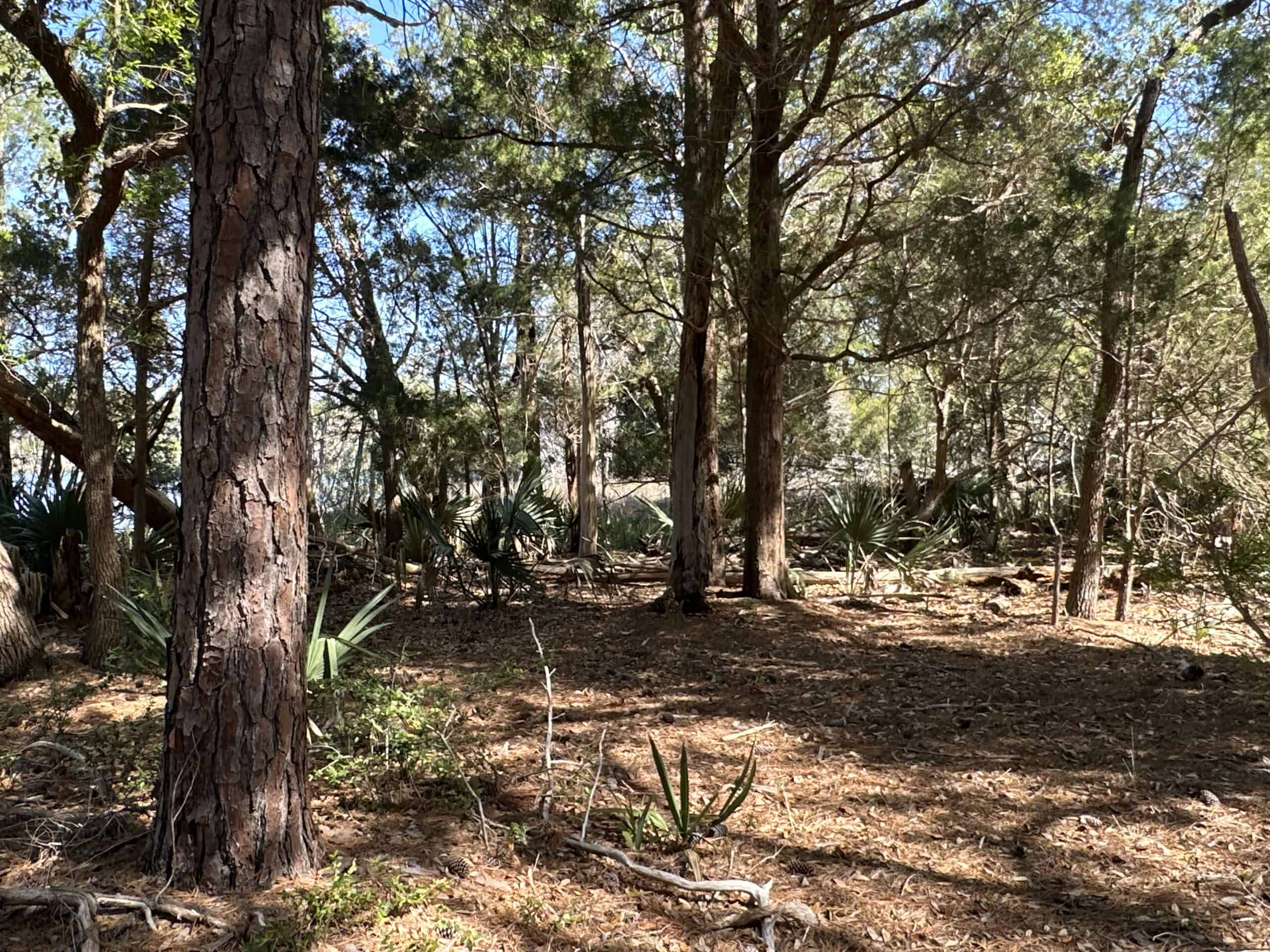 200-AC Hunting & Waterfront Tract in Hyde County, NC