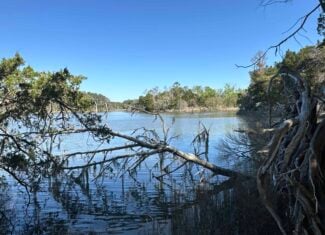 200-AC Hunting & Waterfront Tract in Hyde County, NC