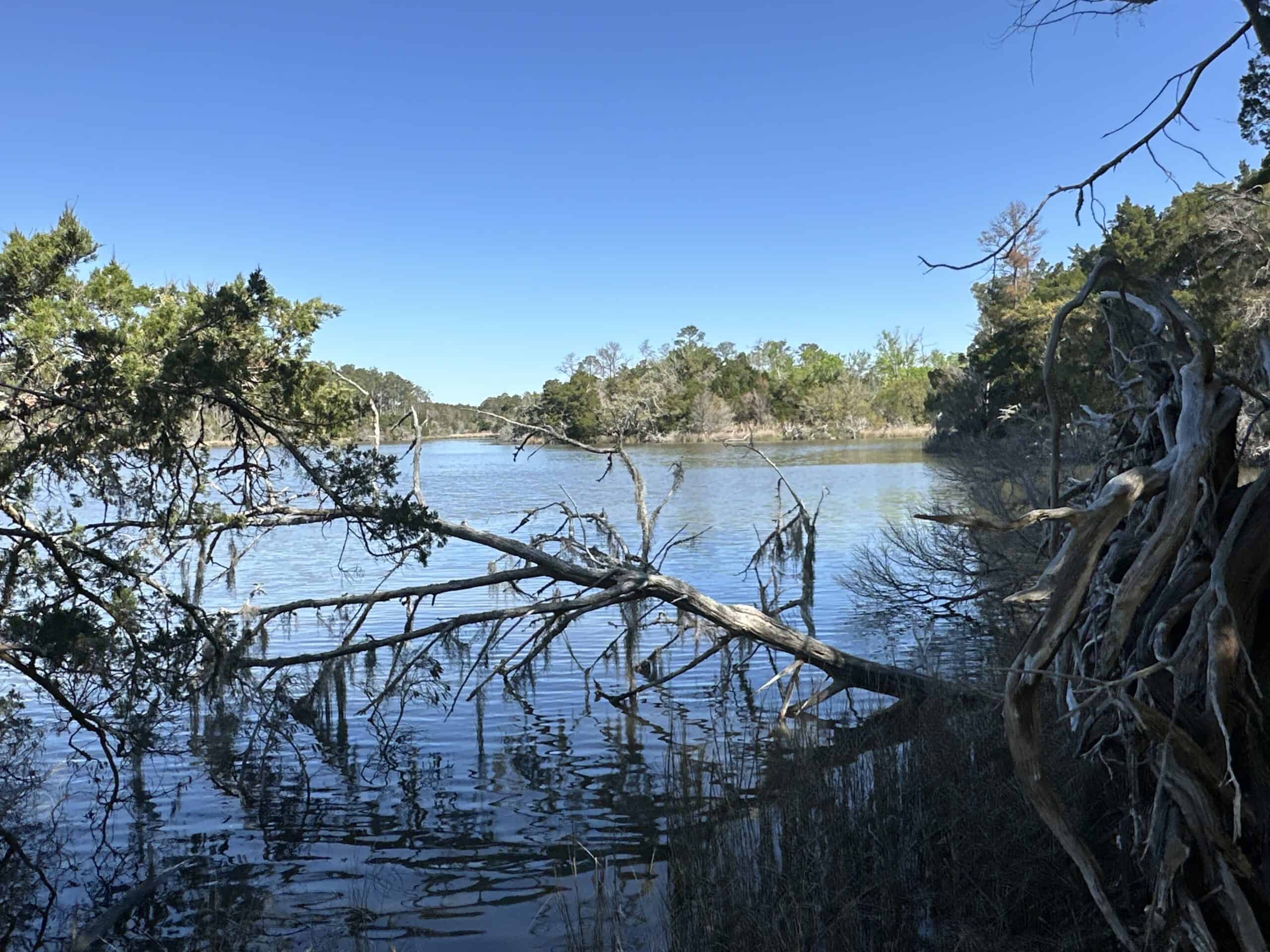 200-AC Hunting & Waterfront Tract in Hyde County, NC