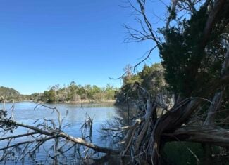 200-AC Hunting & Waterfront Tract in Hyde County, NC