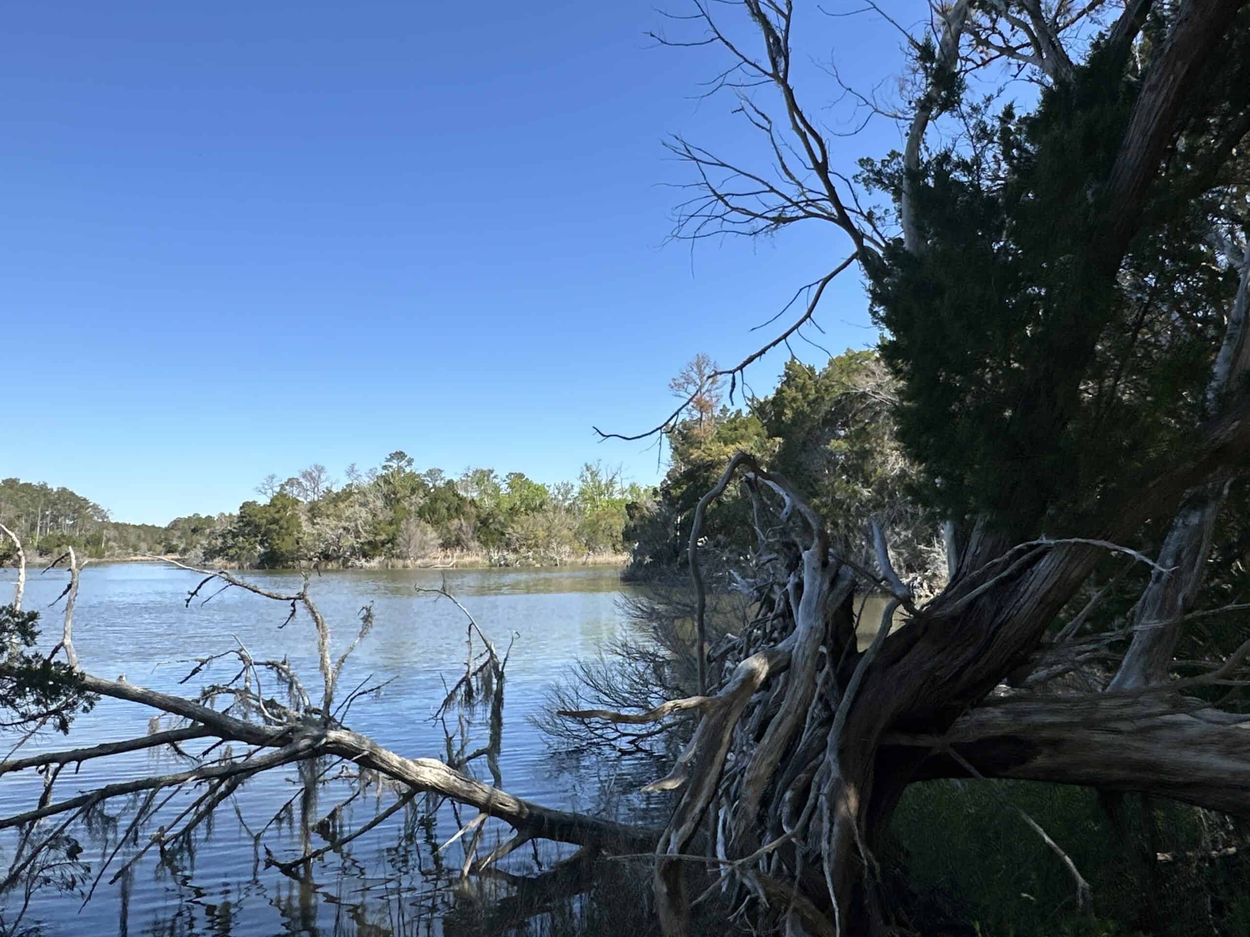 200-AC Hunting & Waterfront Tract in Hyde County, NC