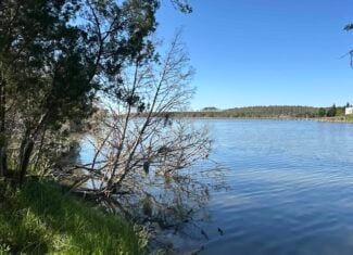 200-AC Hunting & Waterfront Tract in Hyde County, NC