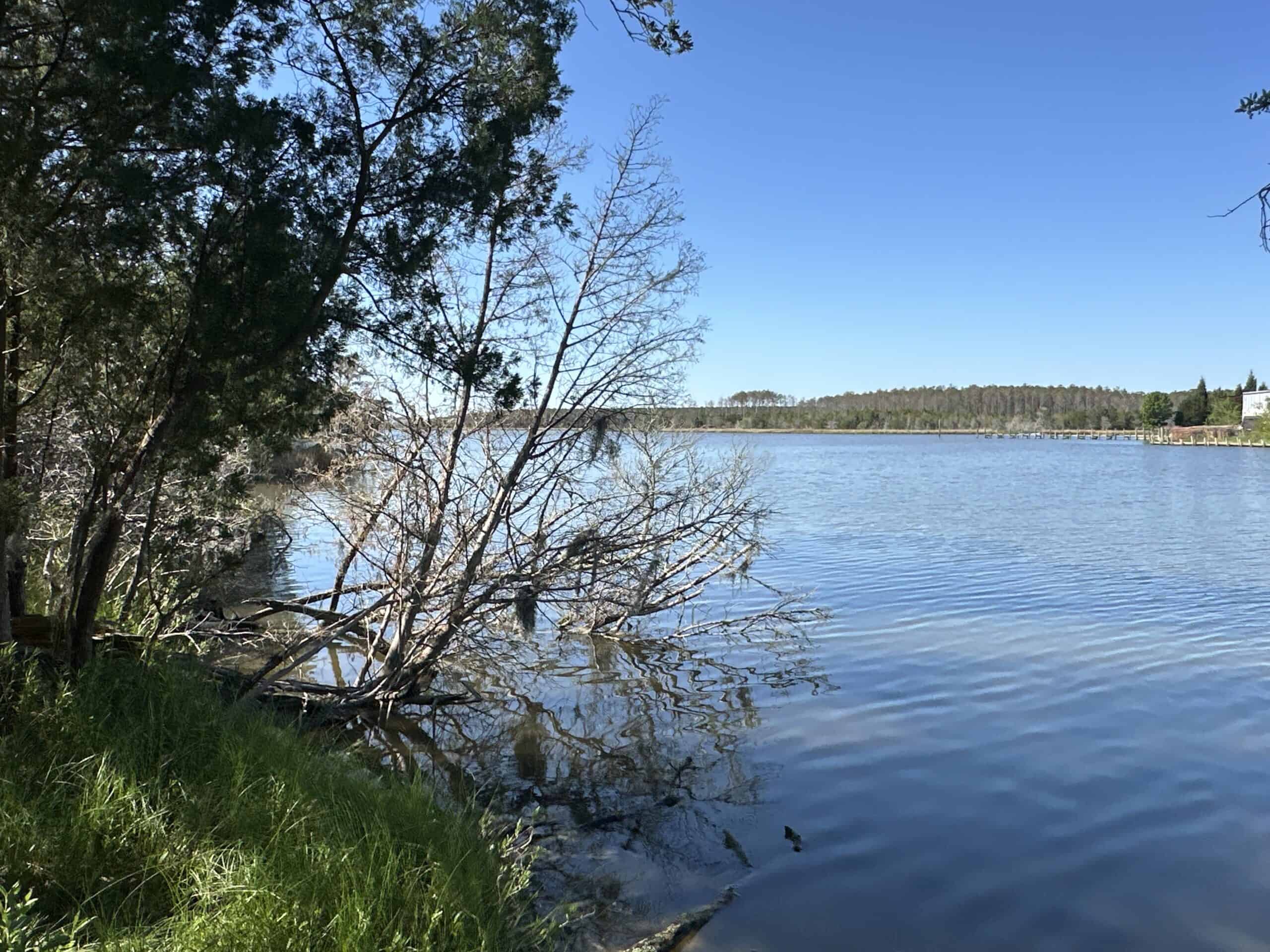 200-AC Hunting & Waterfront Tract in Hyde County, NC