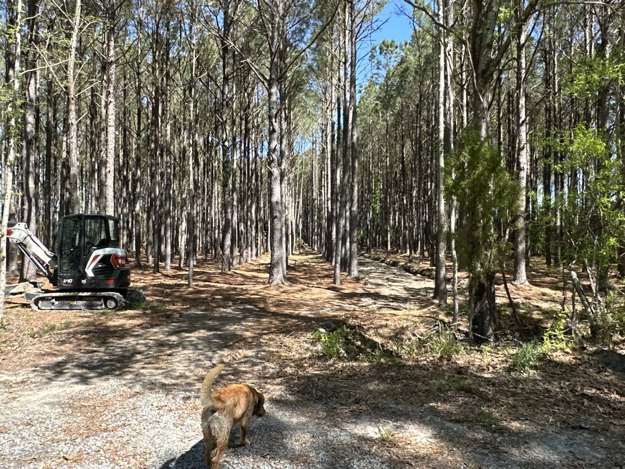 200-AC Hunting & Waterfront Tract in Hyde County, NC