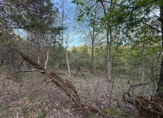 Secluded 66-Acre Hunting Paradise Portage, WI
