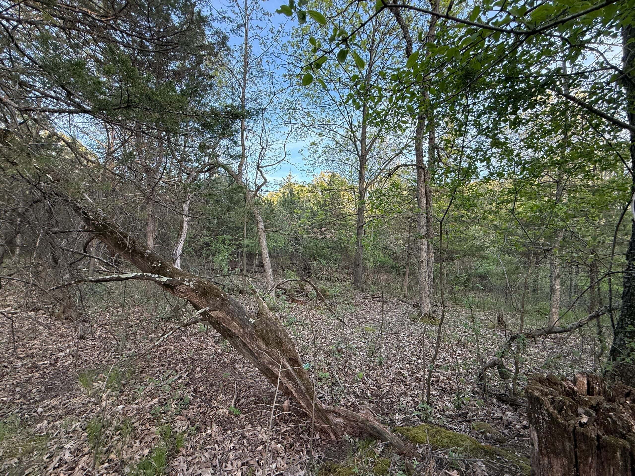 Secluded 66-Acre Hunting Paradise Portage, WI